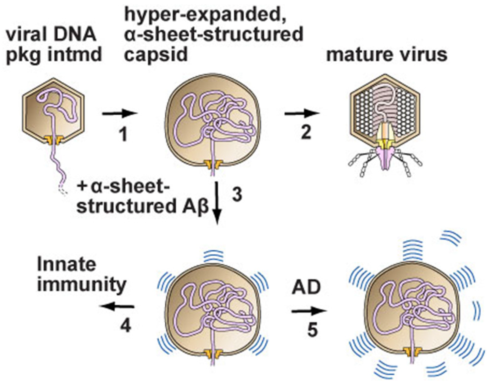Ijms 23 07854 g001 Ijms 23 07854 g001