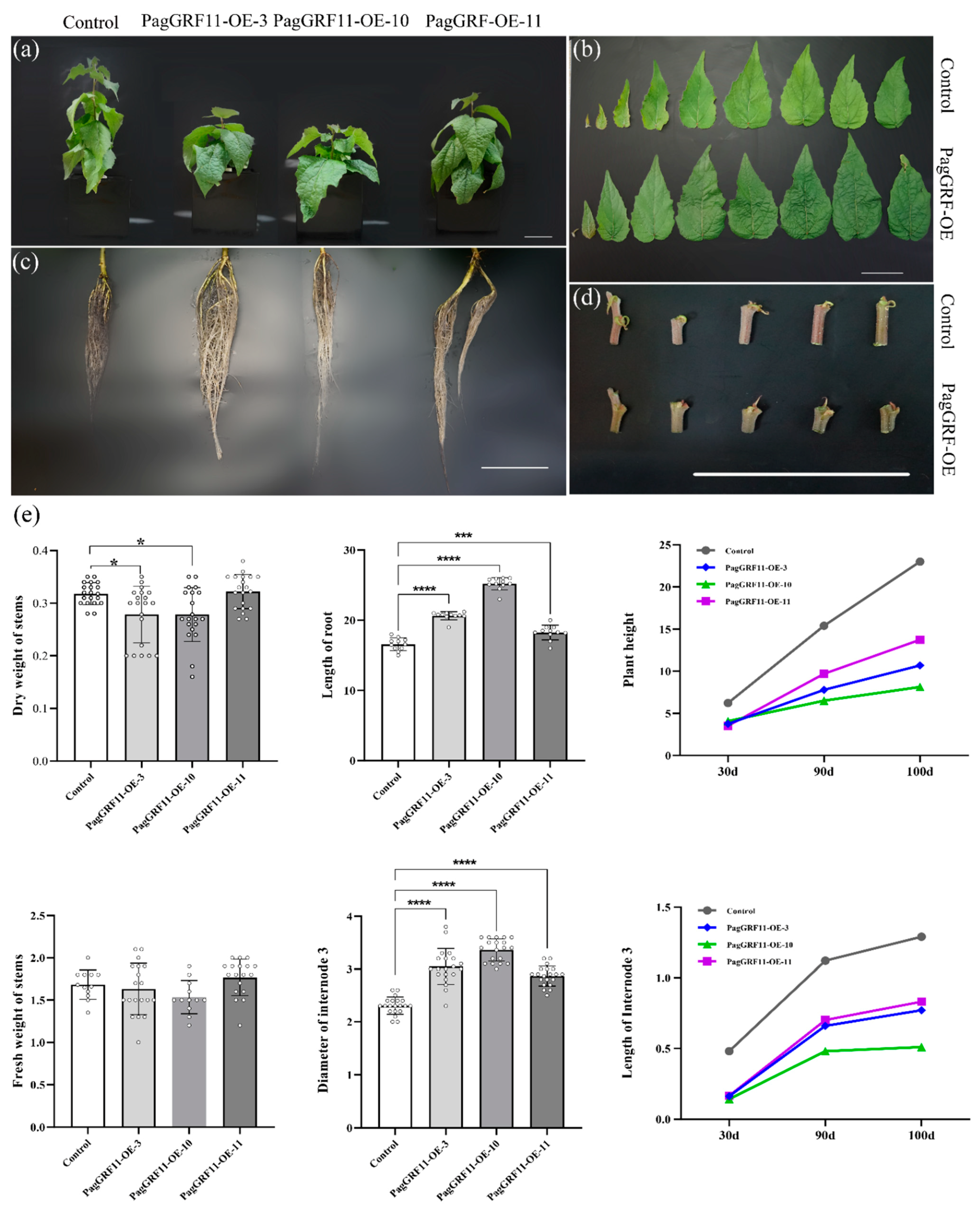 Ijms 23 07858 g002 550