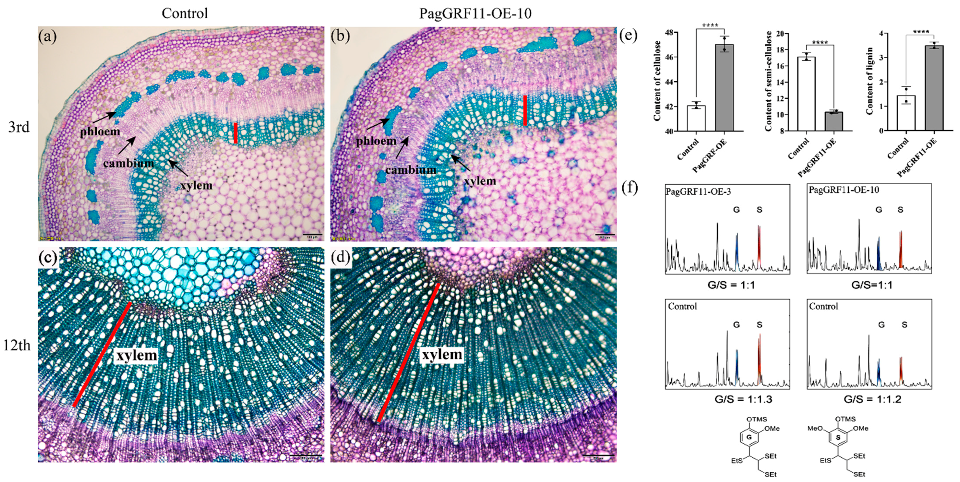 Ijms 23 07858 g003 550