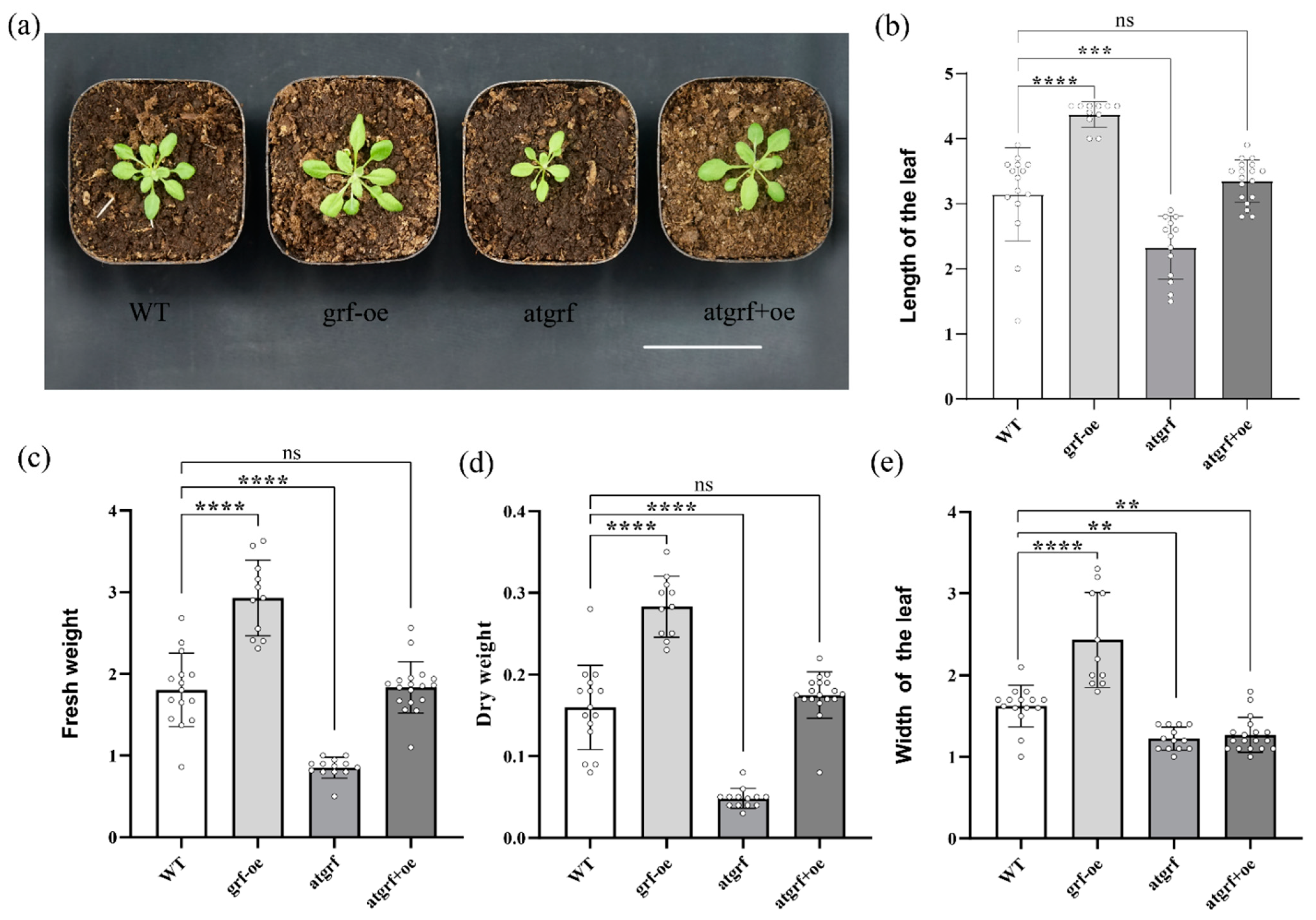 Ijms 23 07858 g004 550