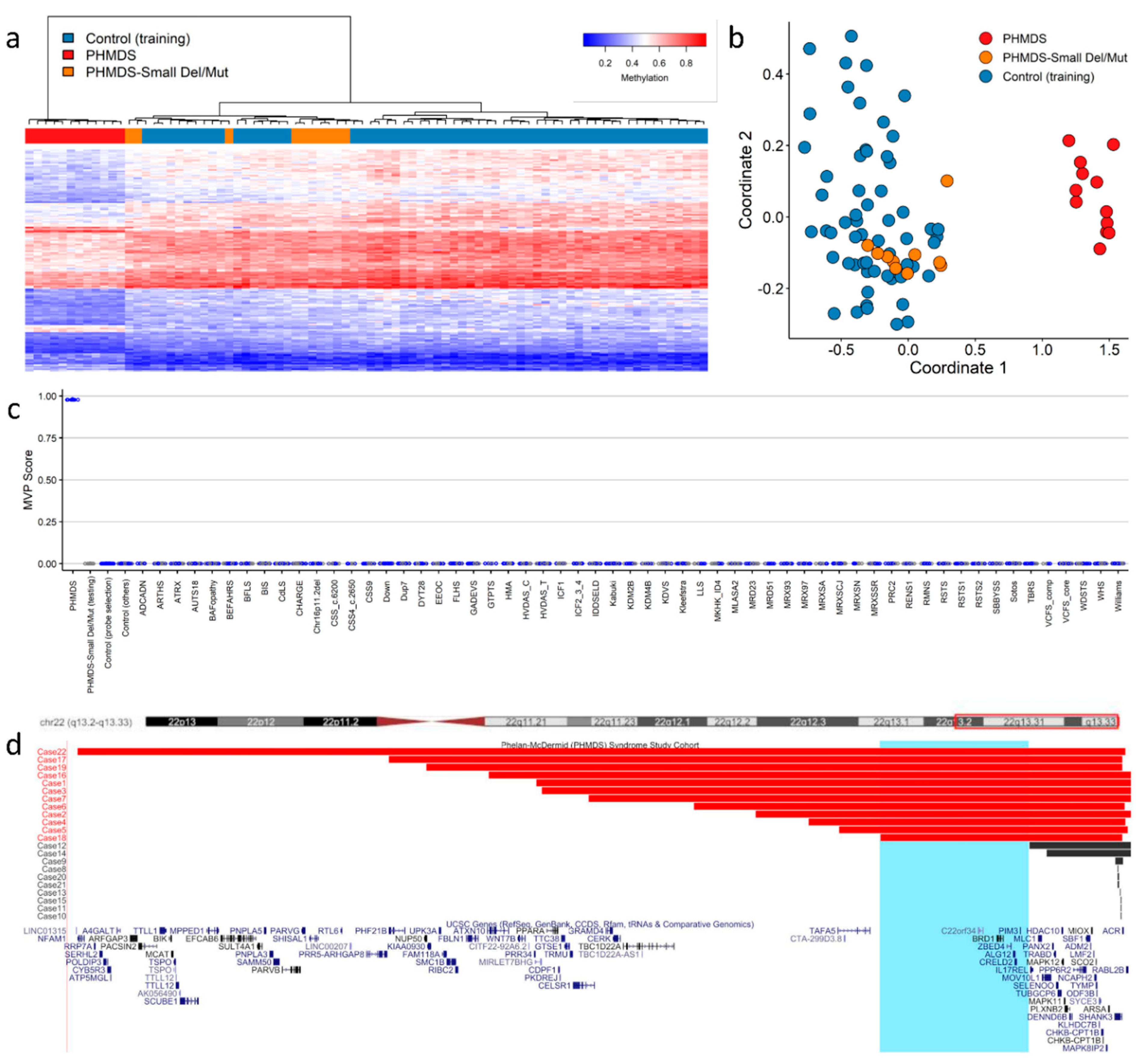 Ijms 23 07862 g001 Ijms 23 07862 g001