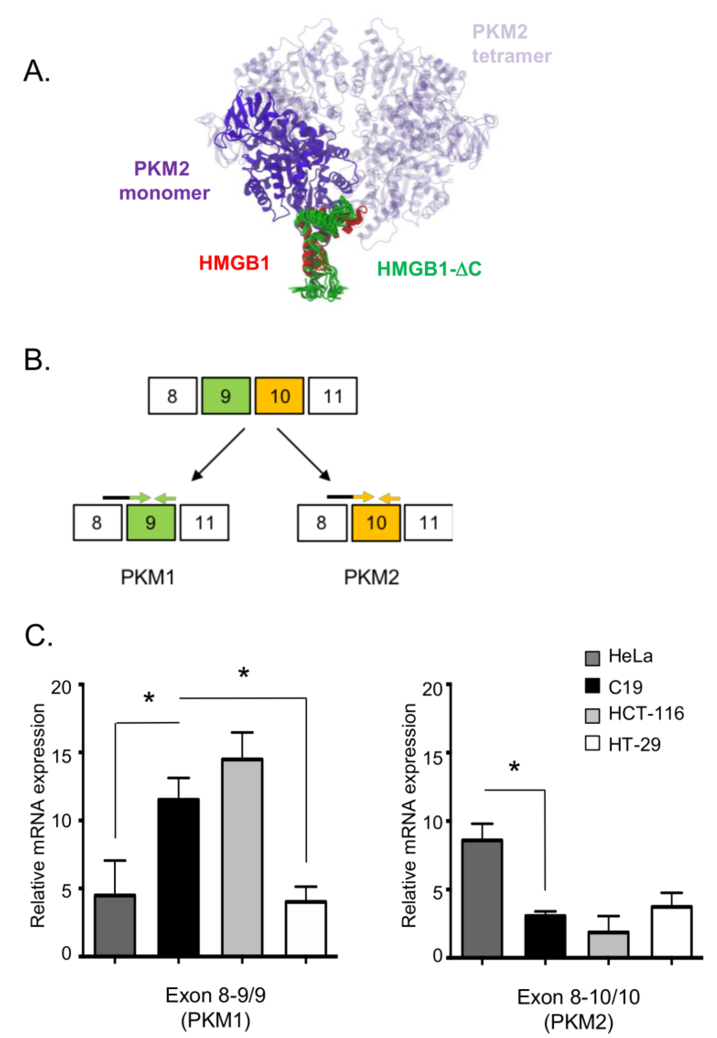 Ijms 23 07865 g005 550