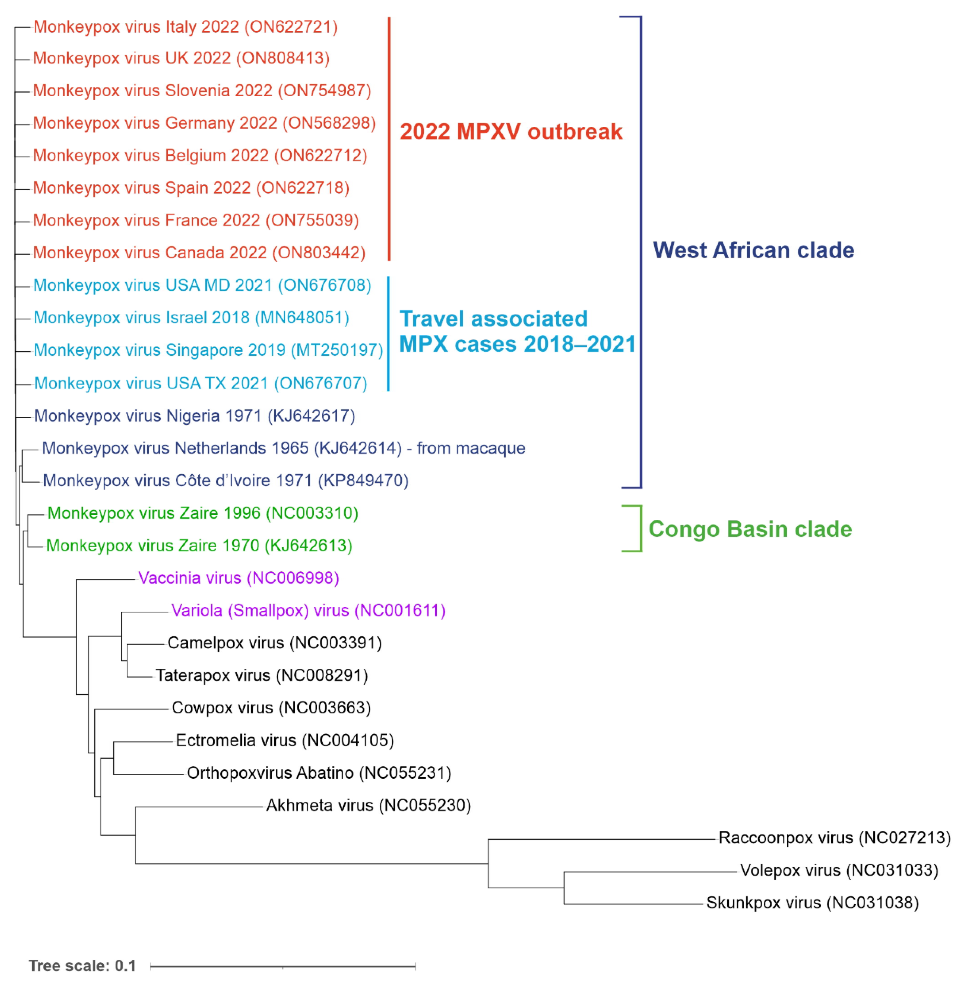 Ijms 23 07866 g002 Ijms 23 07866 g002