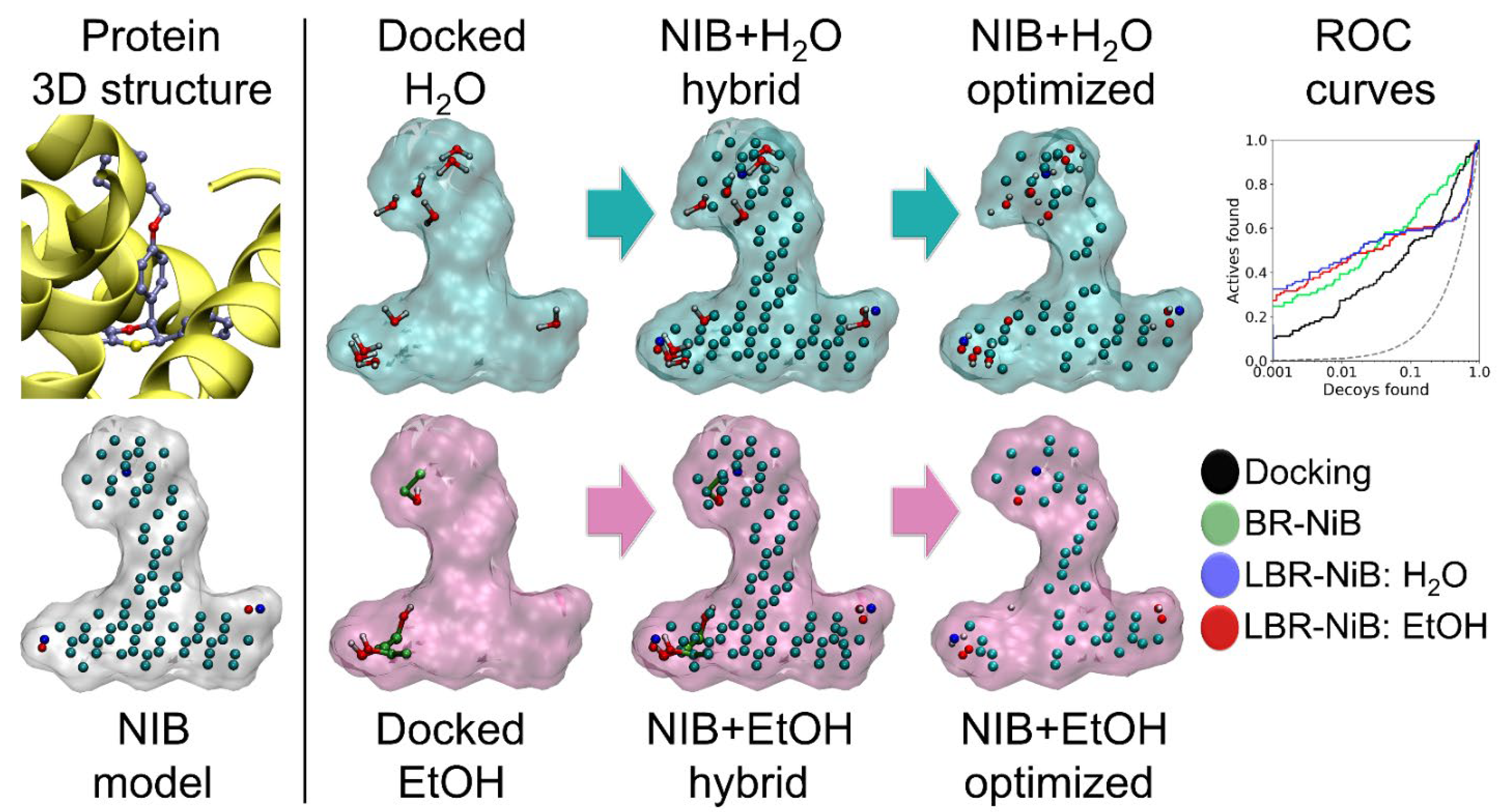 Ijms 23 07871 g003 550