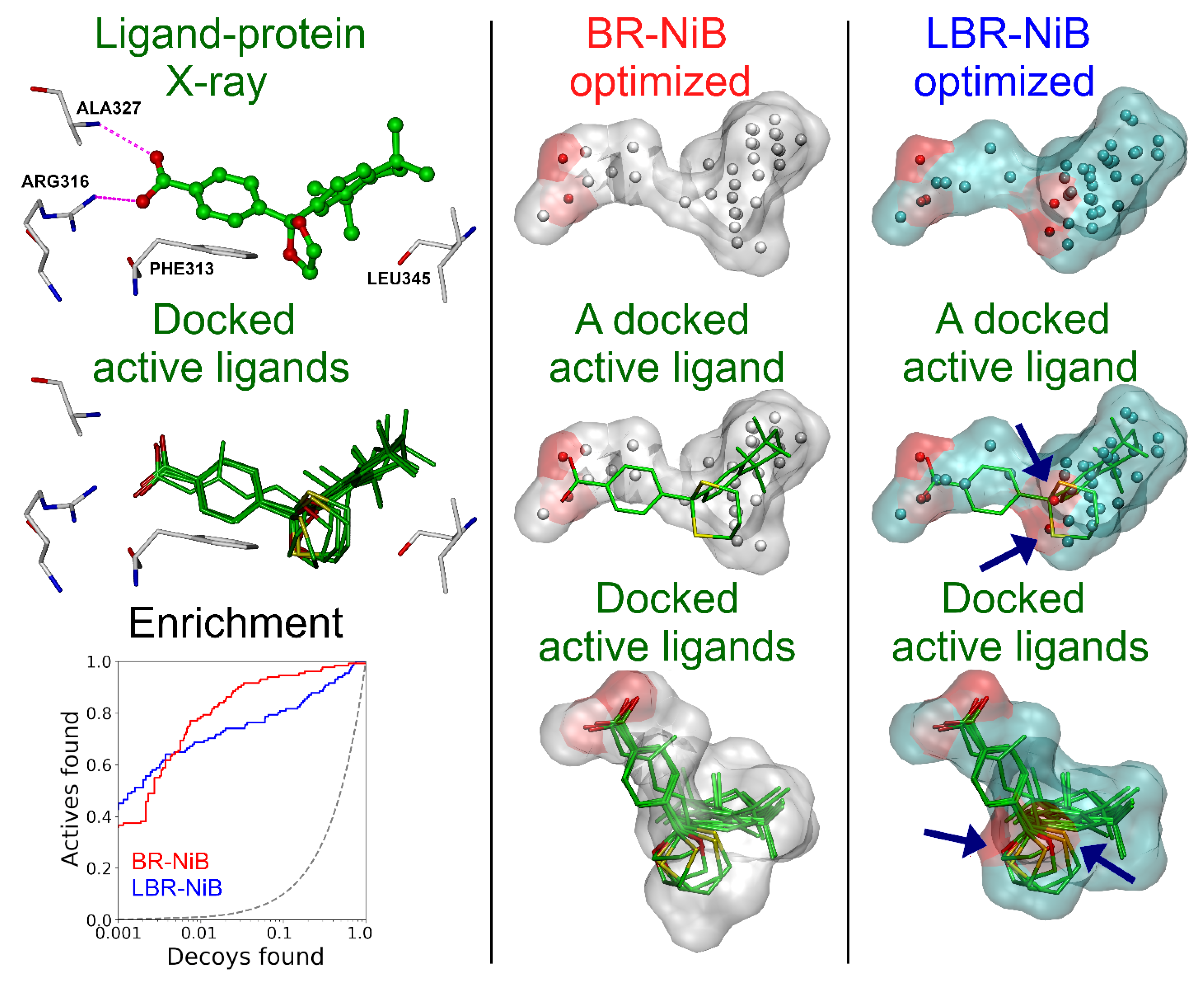 Ijms 23 07871 g004 550