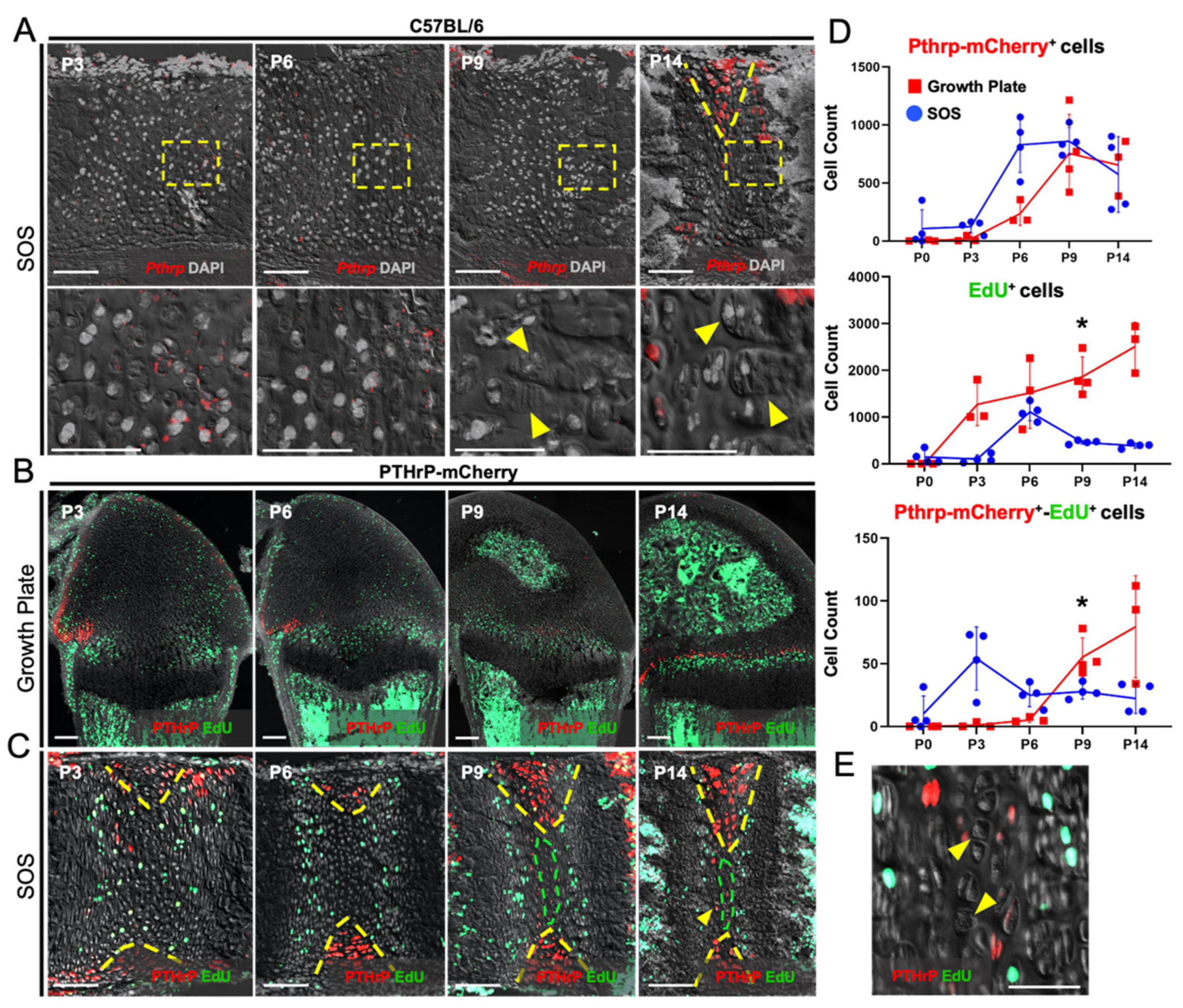 Ijms 23 07873 g002 550