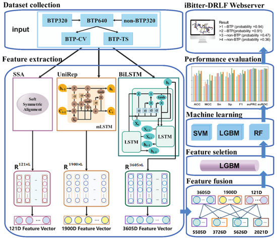 Identify Bitter Peptides by Using Deep Representation Learning Features