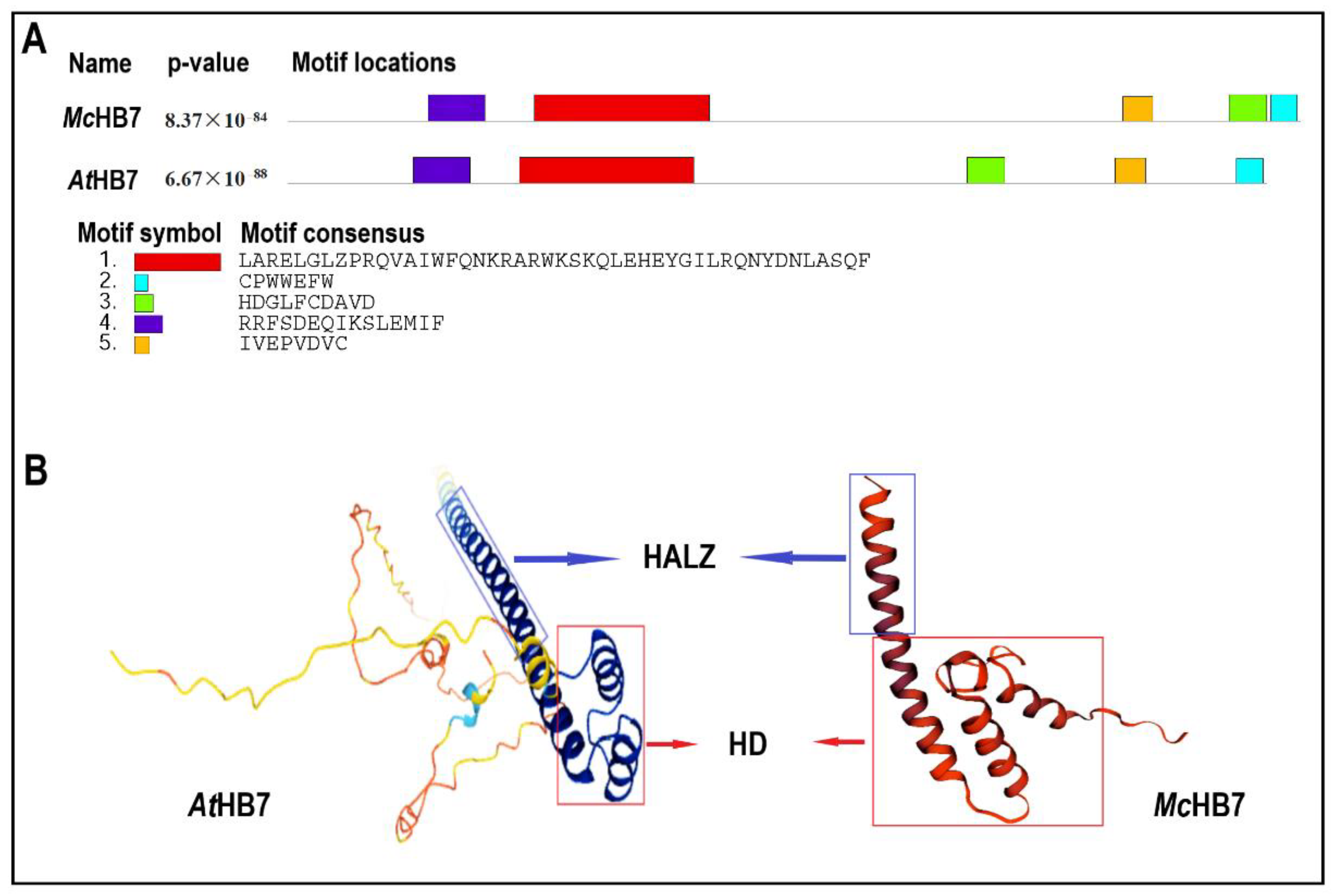 Ijms 23 07879 g001 550
