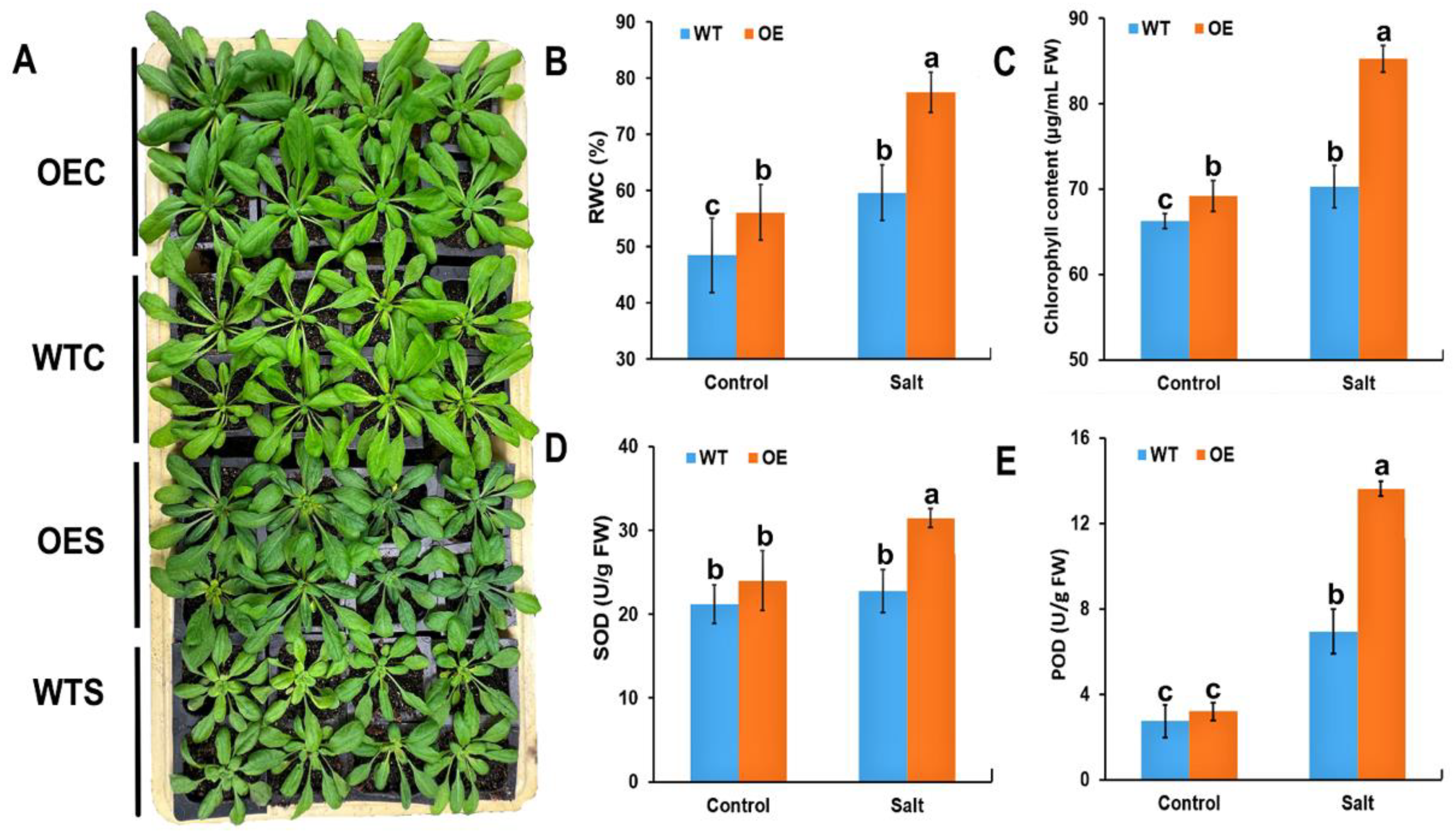 Ijms 23 07879 g003 550