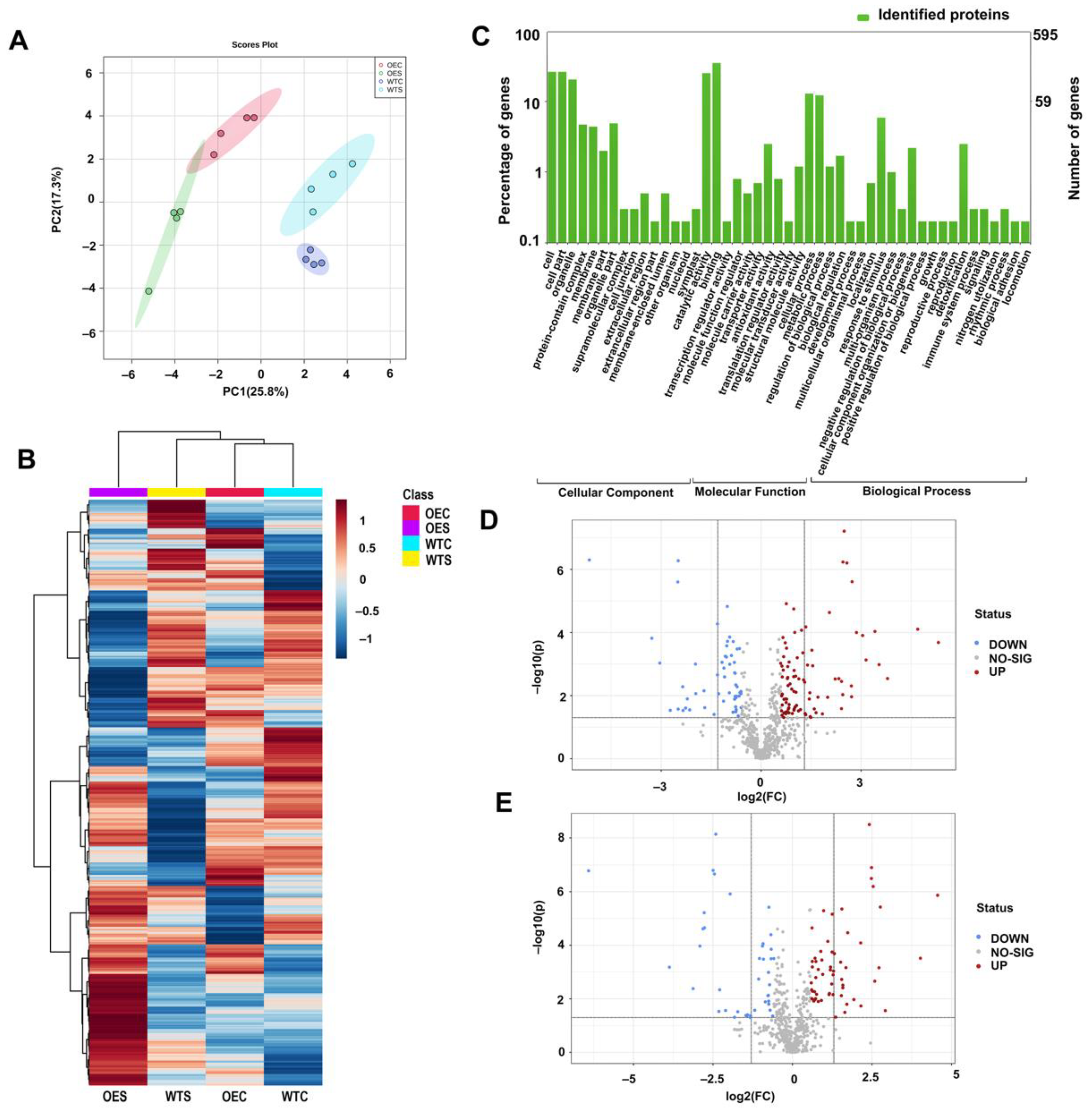 Ijms 23 07879 g004 550