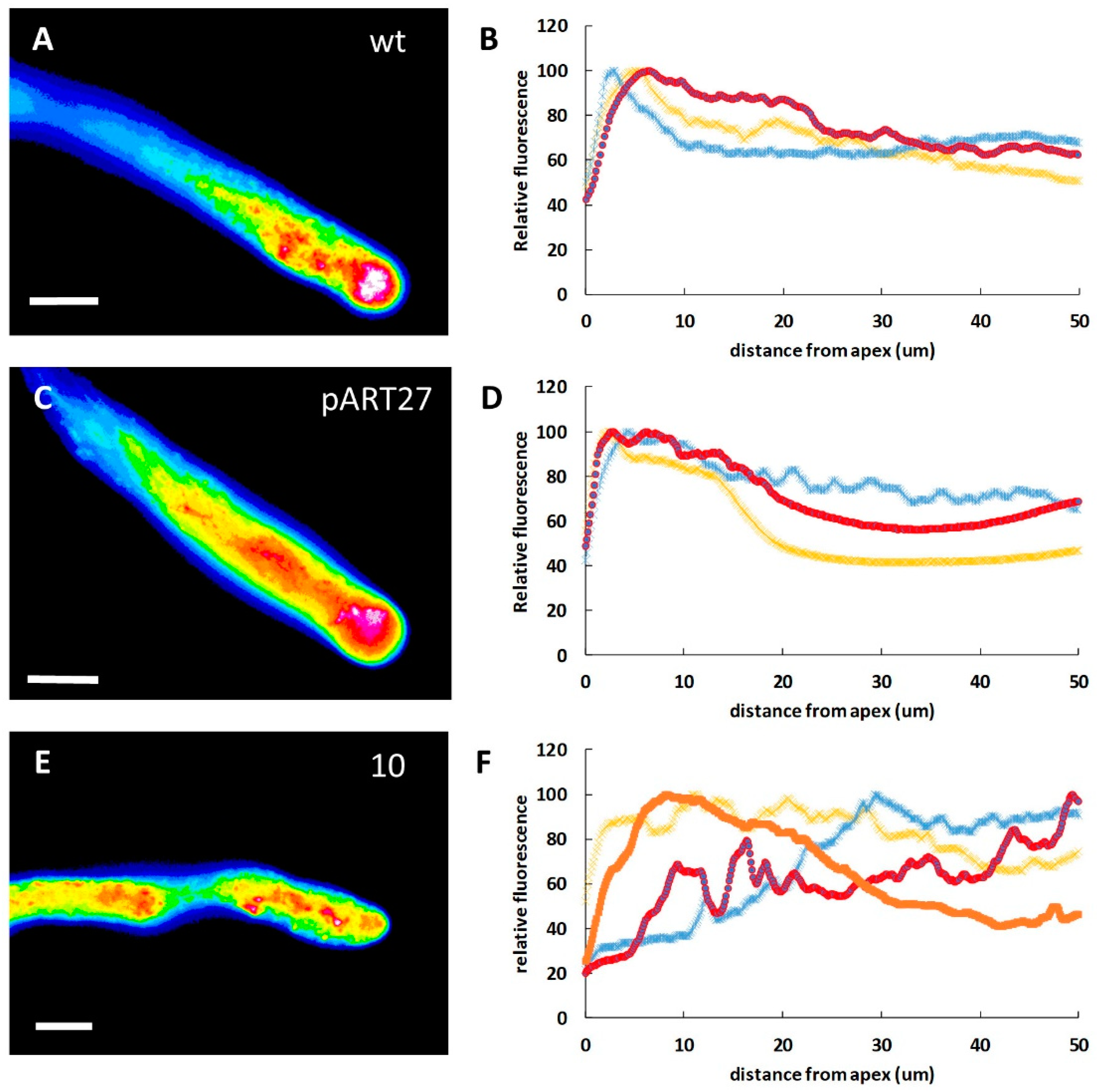 Ijms 23 07880 g003 550