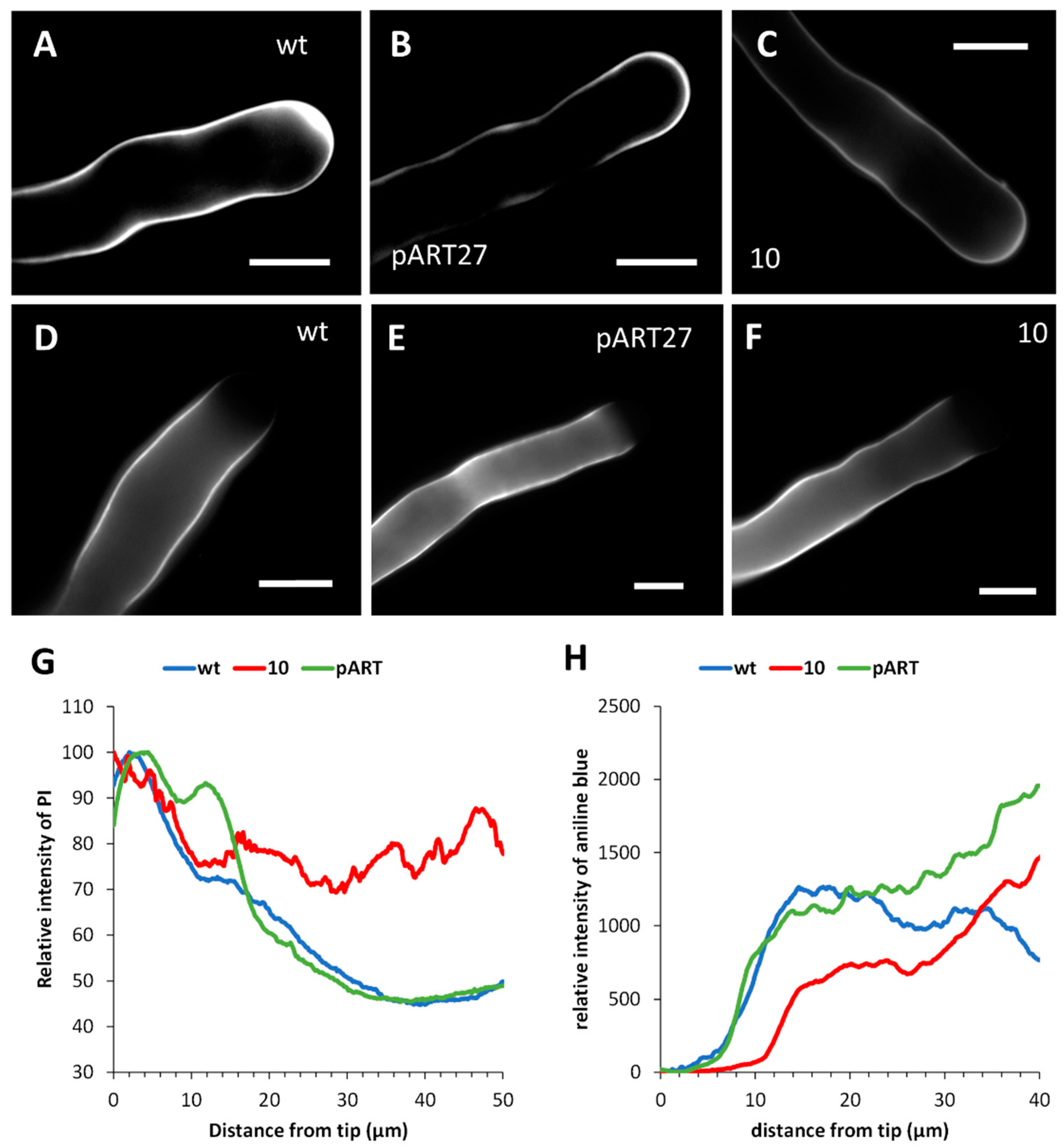 Ijms 23 07880 g007 550