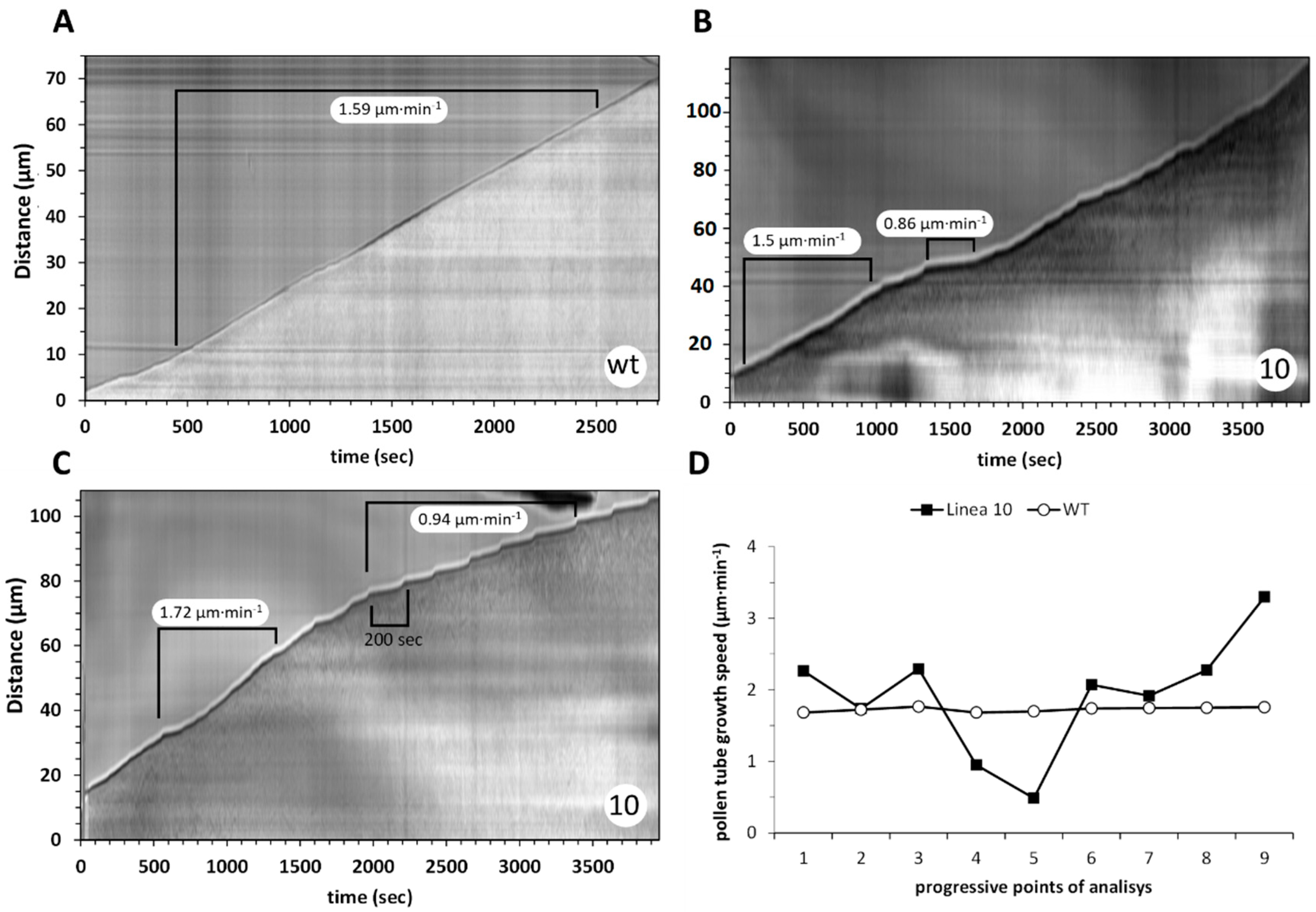 Ijms 23 07880 g008 550
