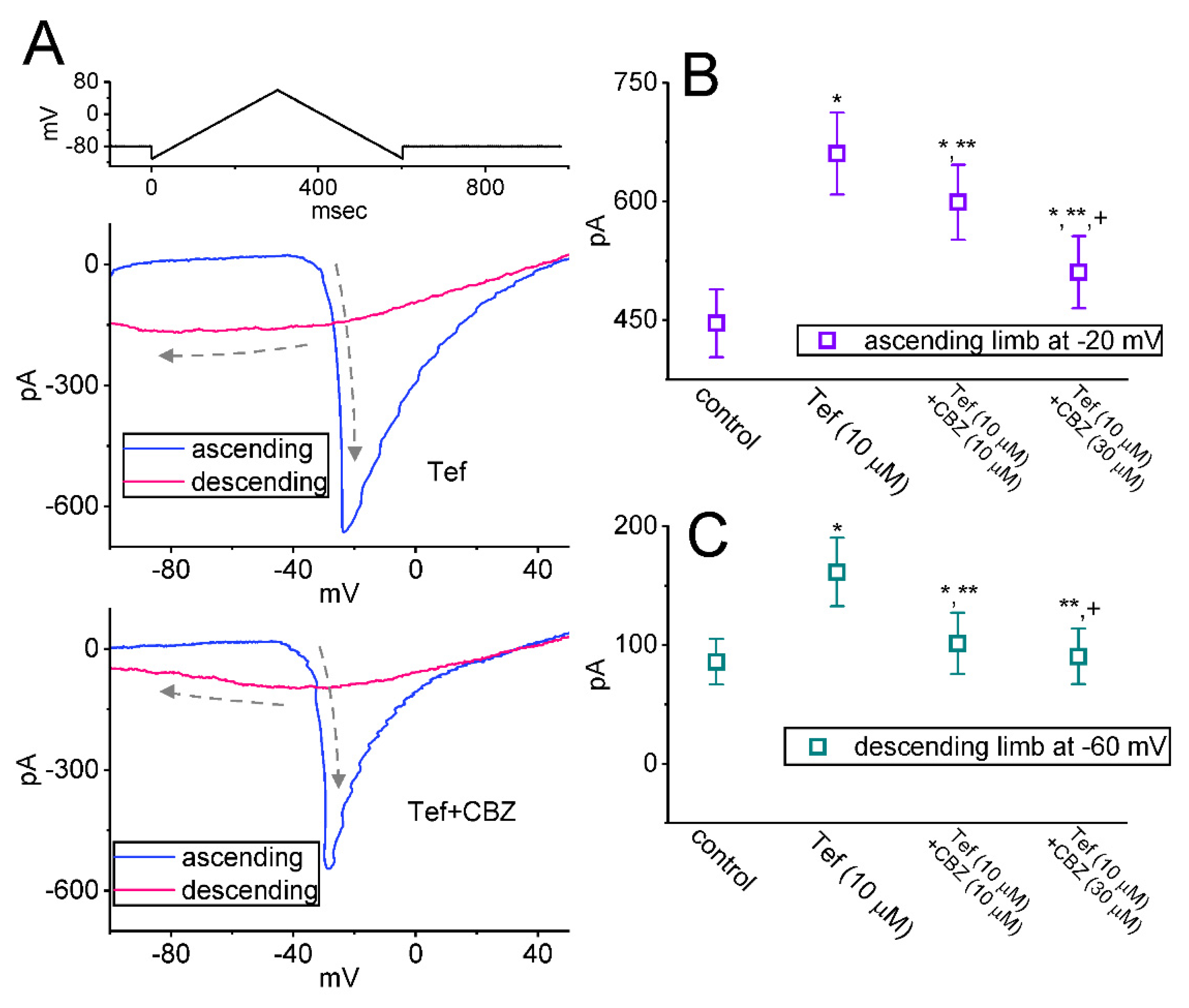 Ijms 23 07892 g004 550