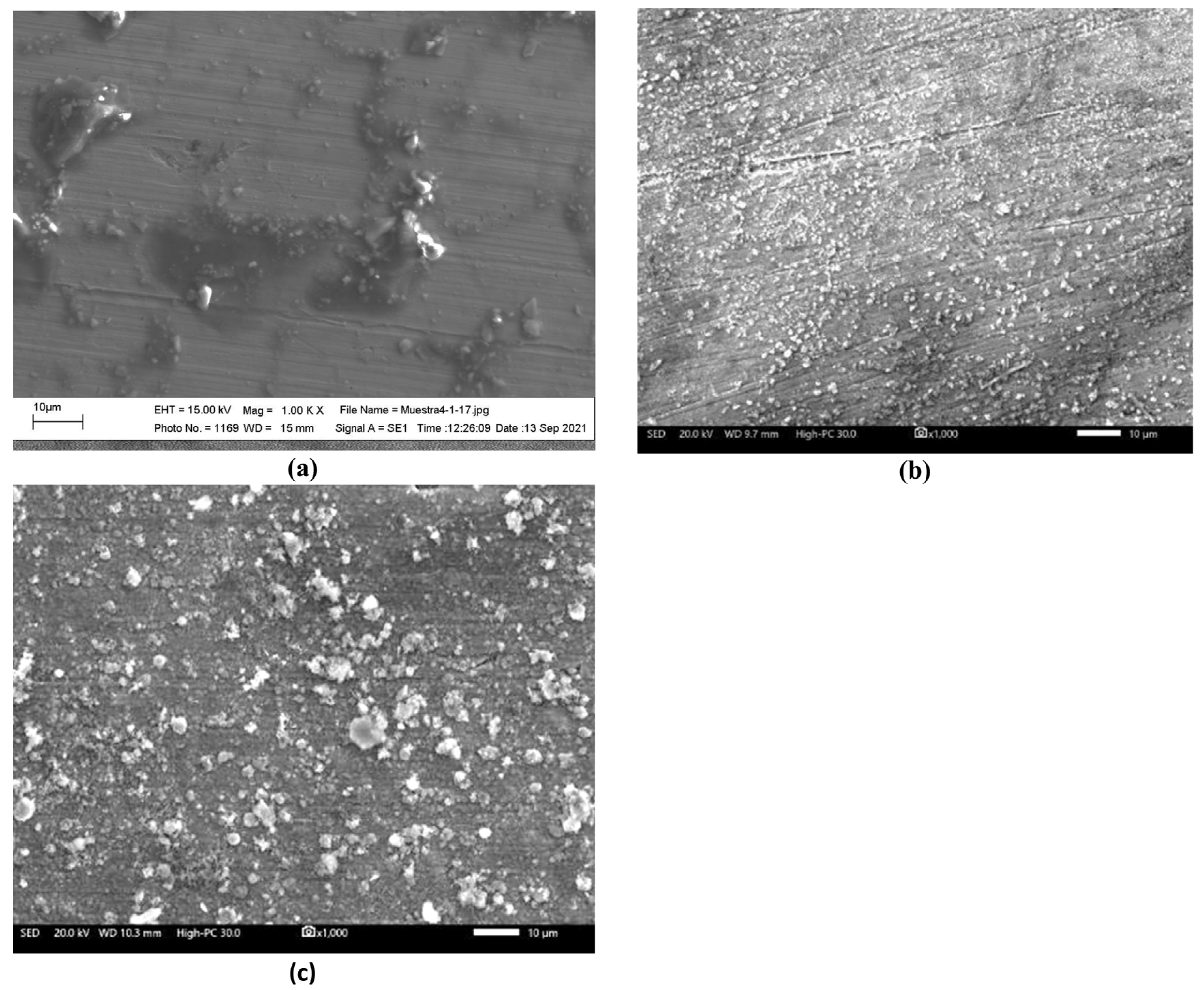 Ijms 23 07895 g002 550