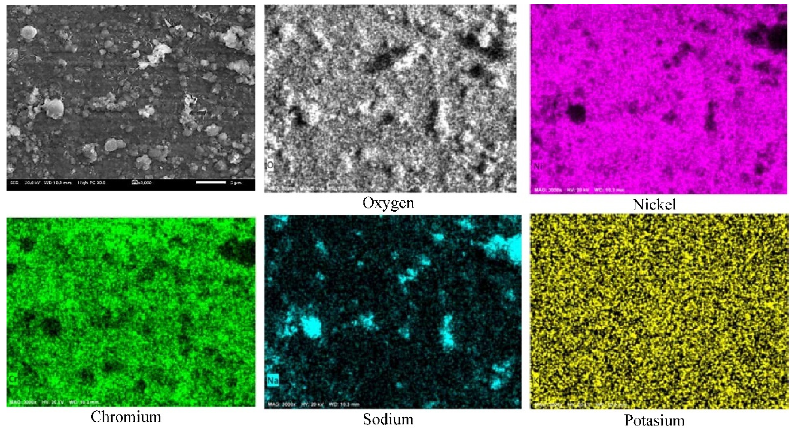 Ijms 23 07895 g004 550