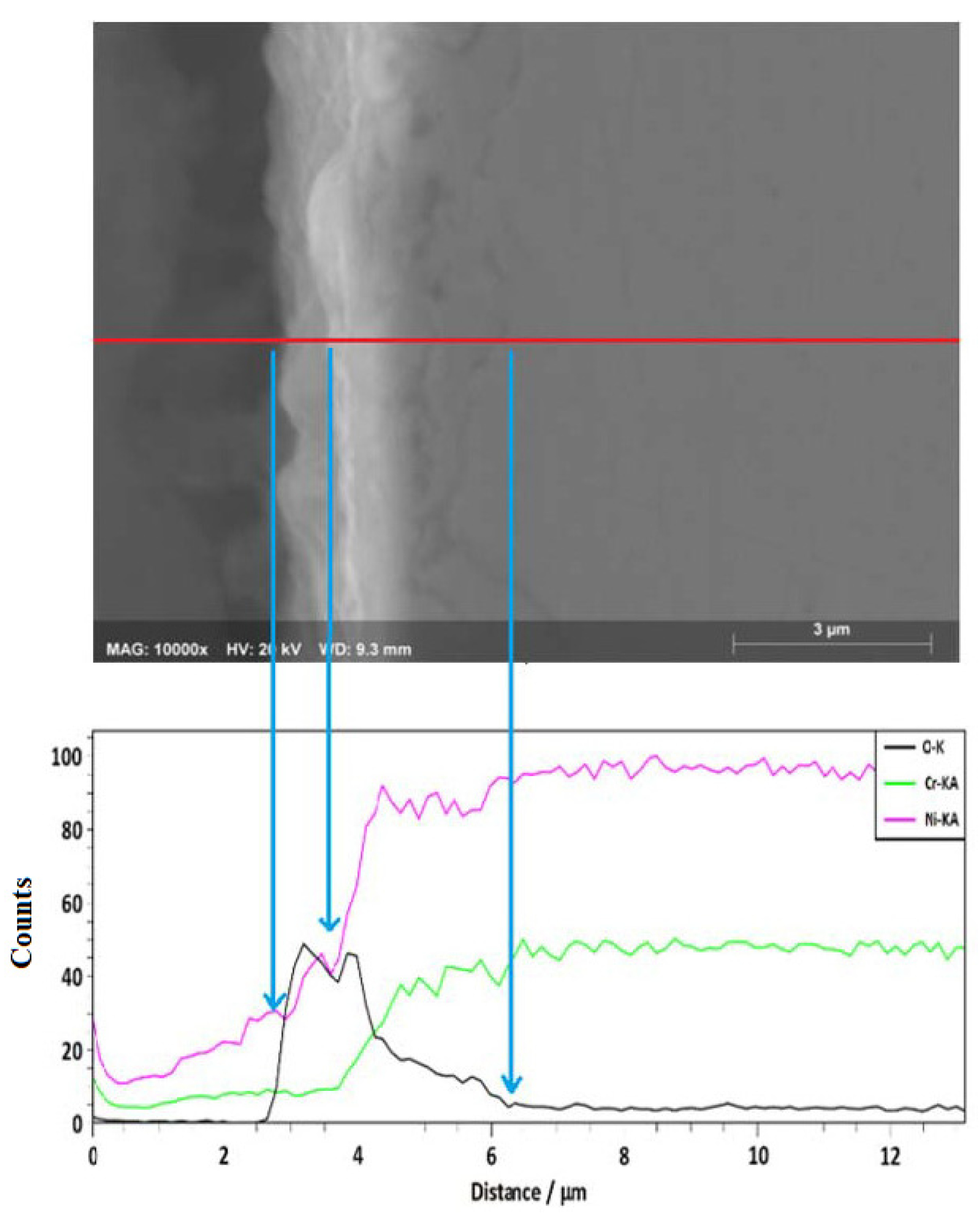 Ijms 23 07895 g005 550