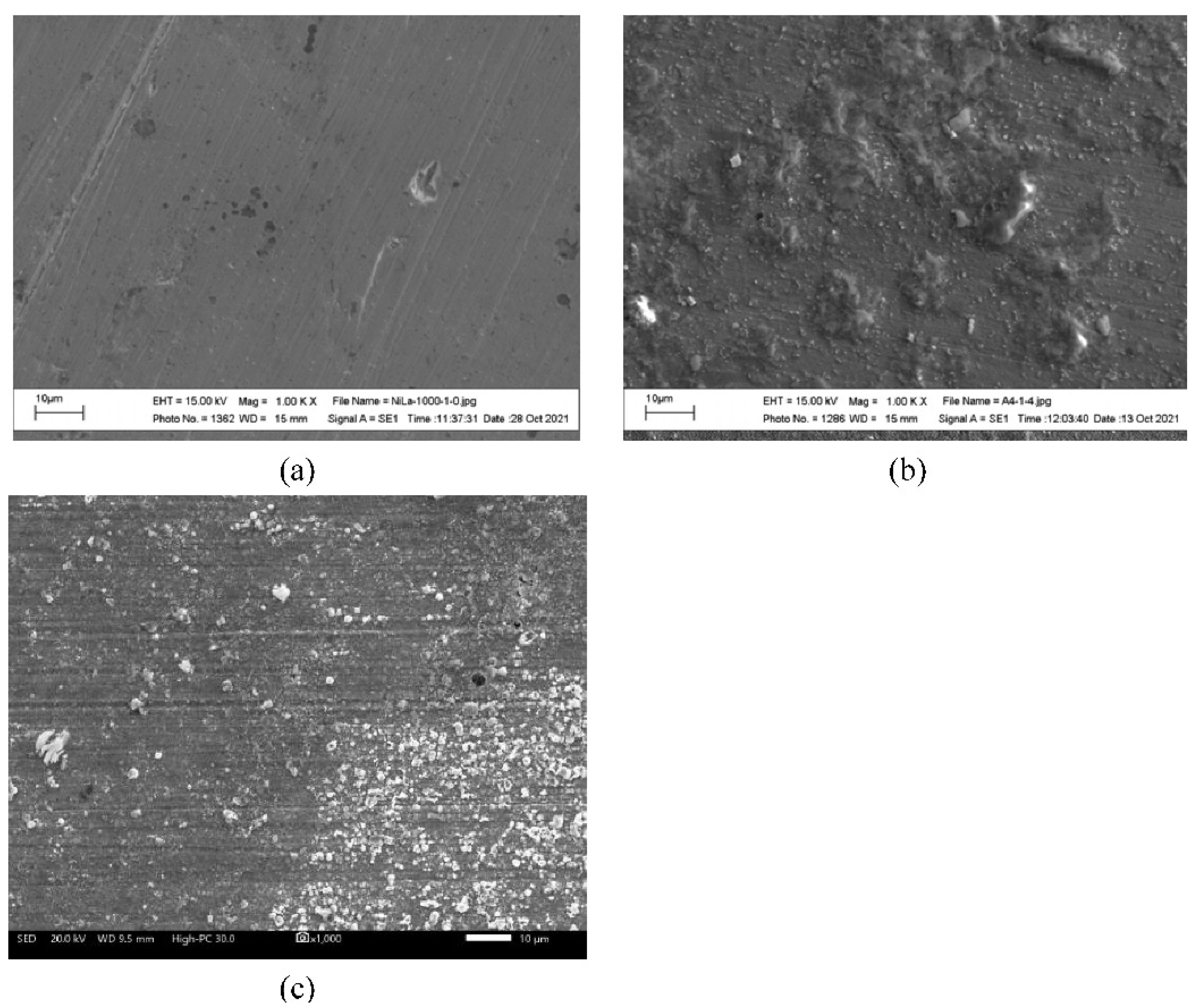 Ijms 23 07895 g006 550