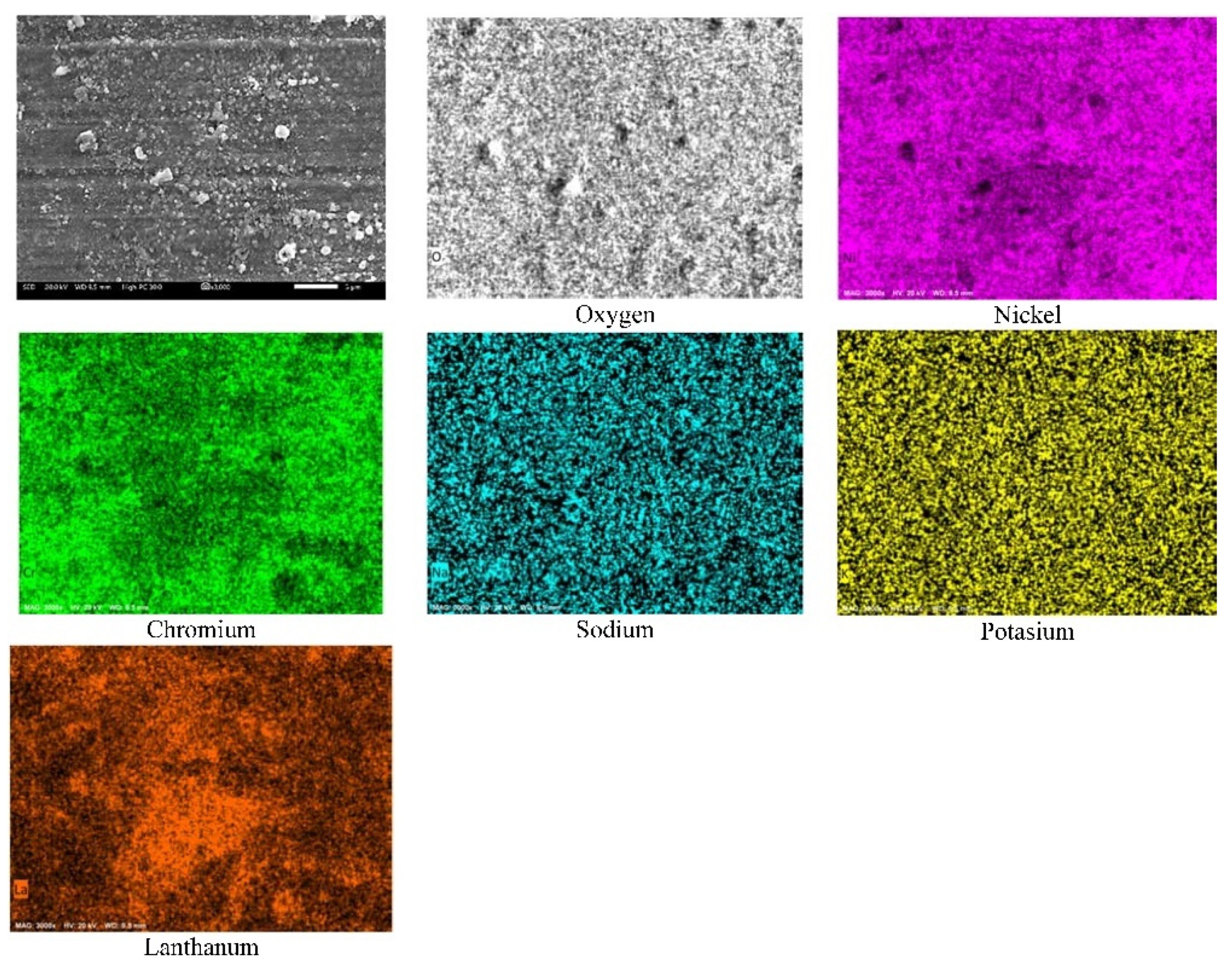 Ijms 23 07895 g008 550