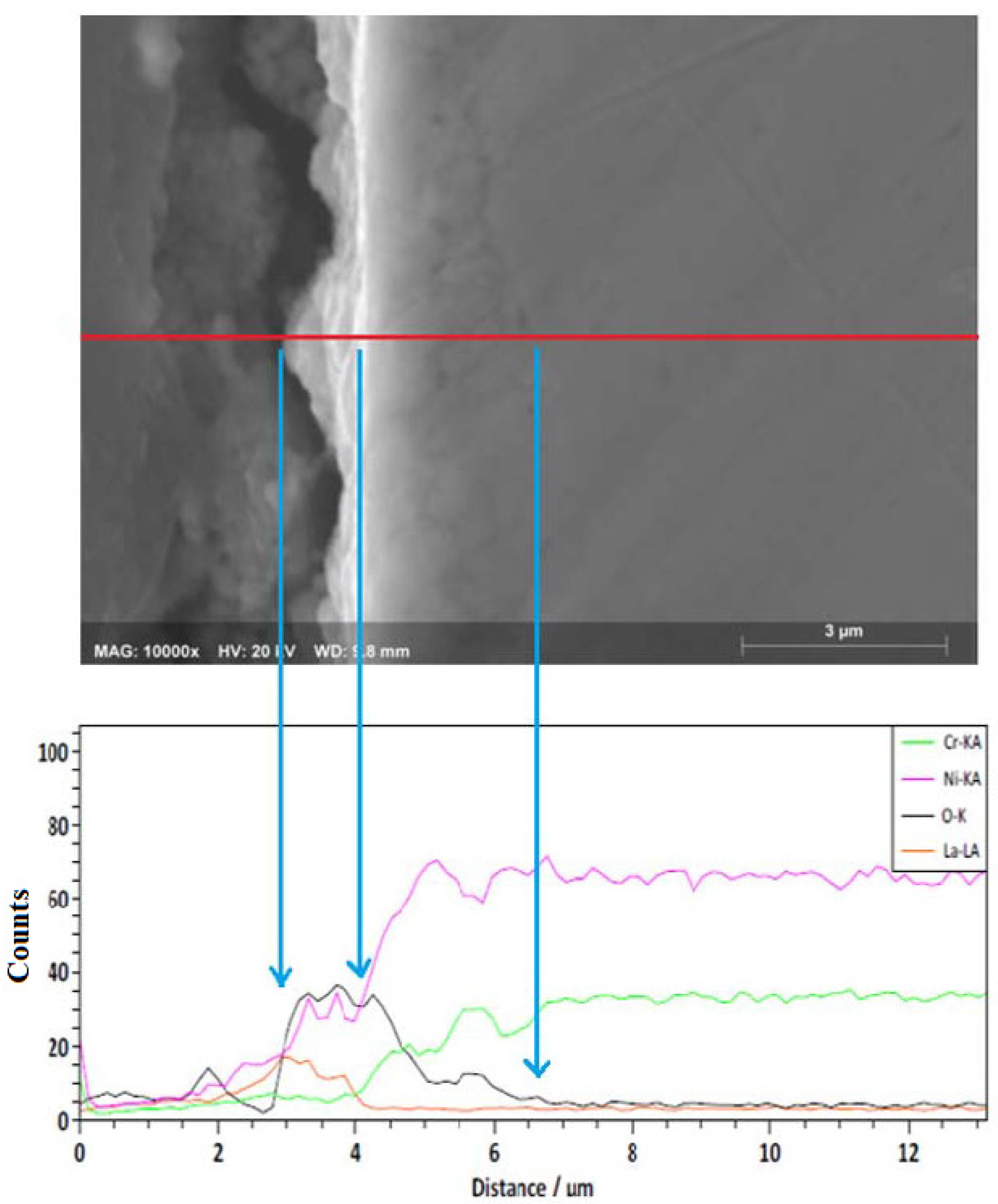 Ijms 23 07895 g009 550