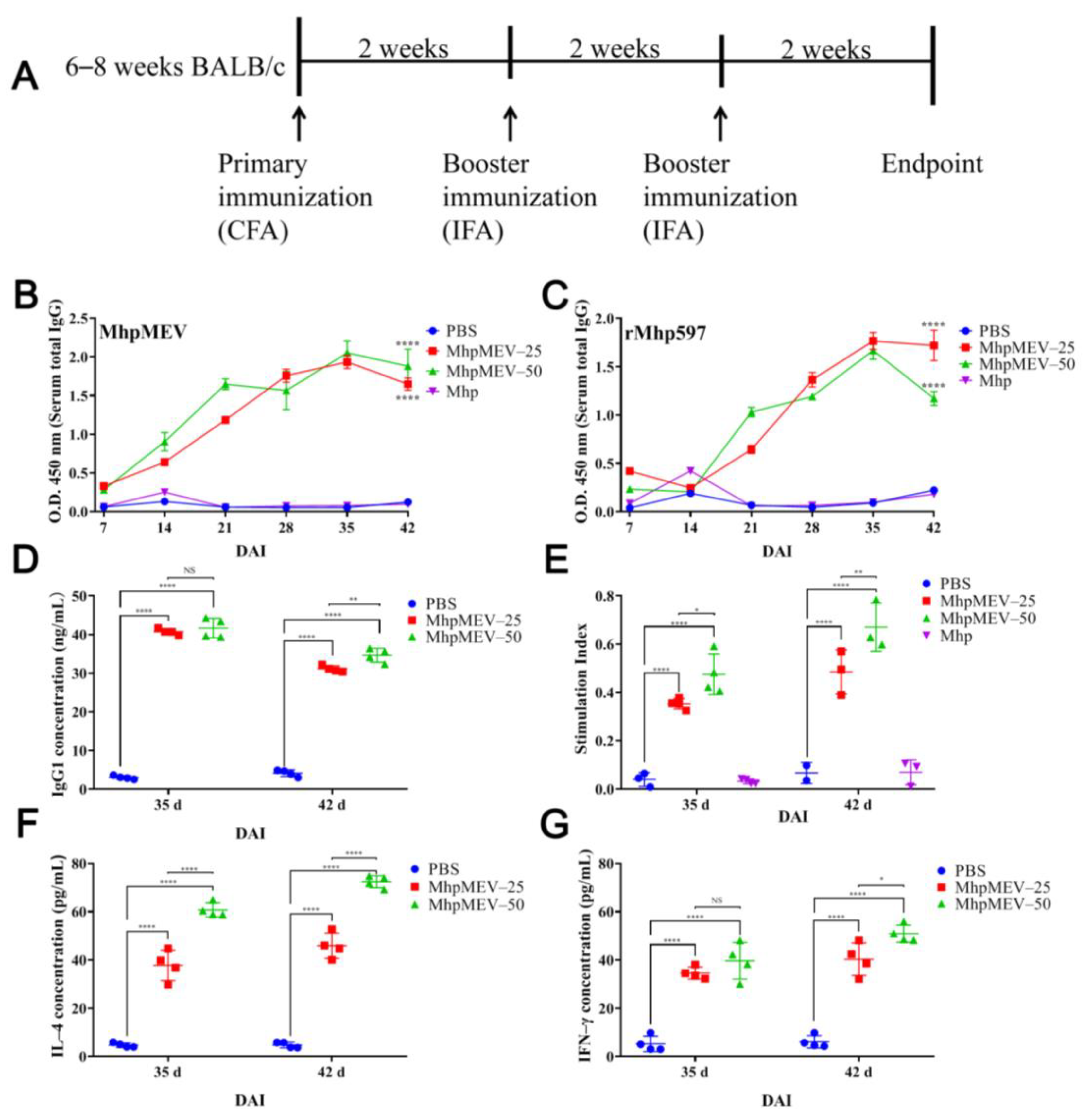 Ijms 23 07899 g006 Ijms 23 07899 g006