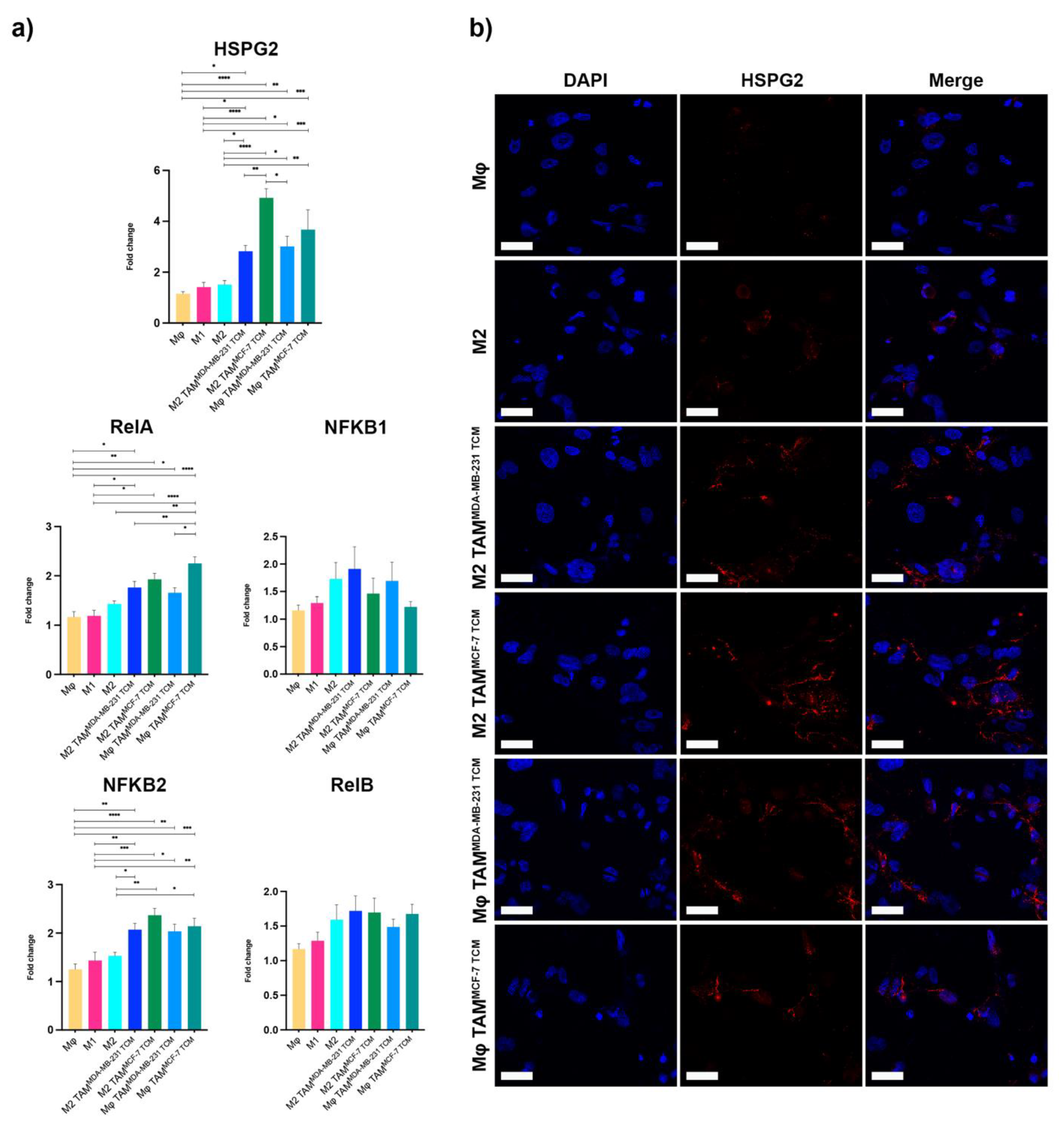 Ijms 23 07902 g003 550