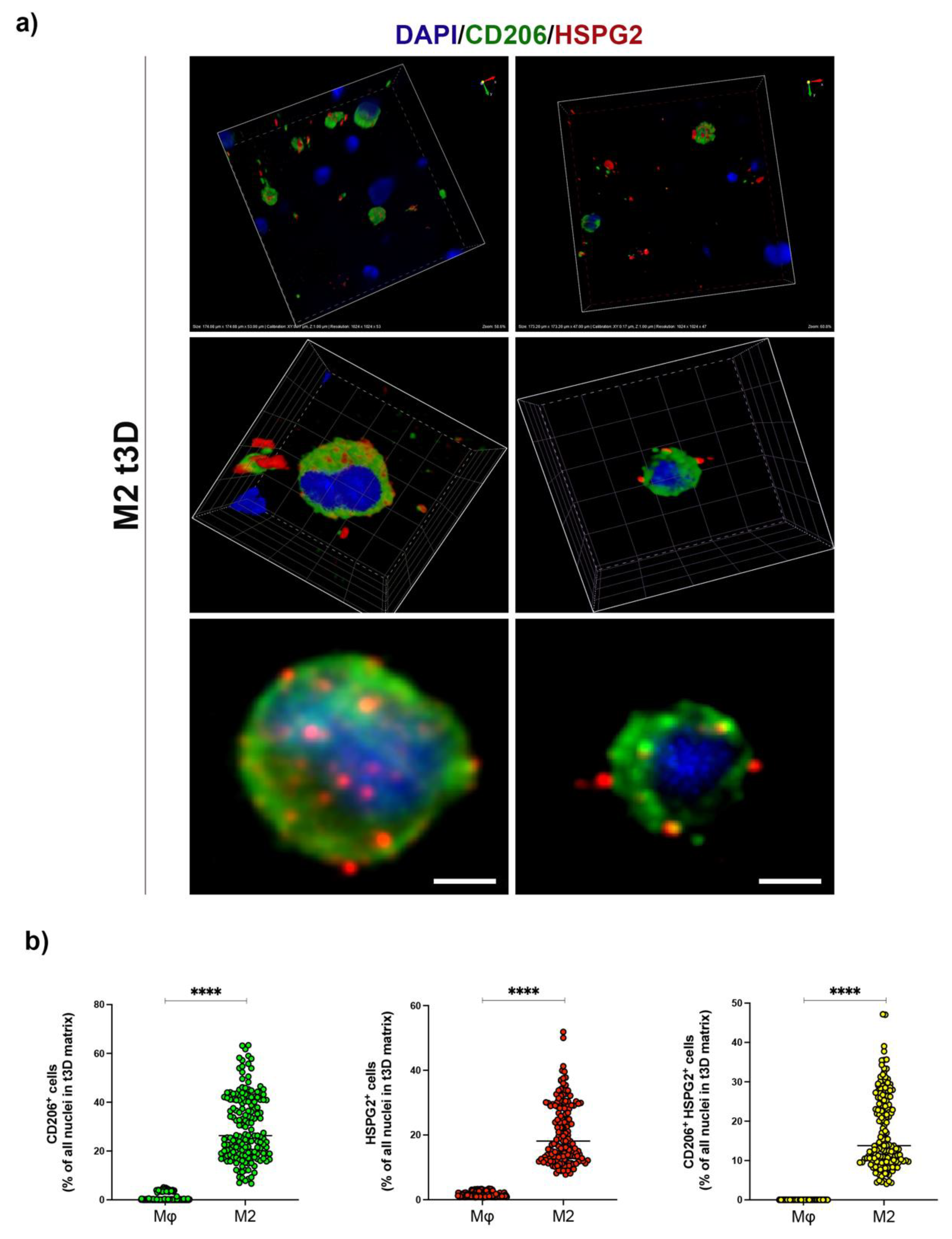 Ijms 23 07902 g005 550