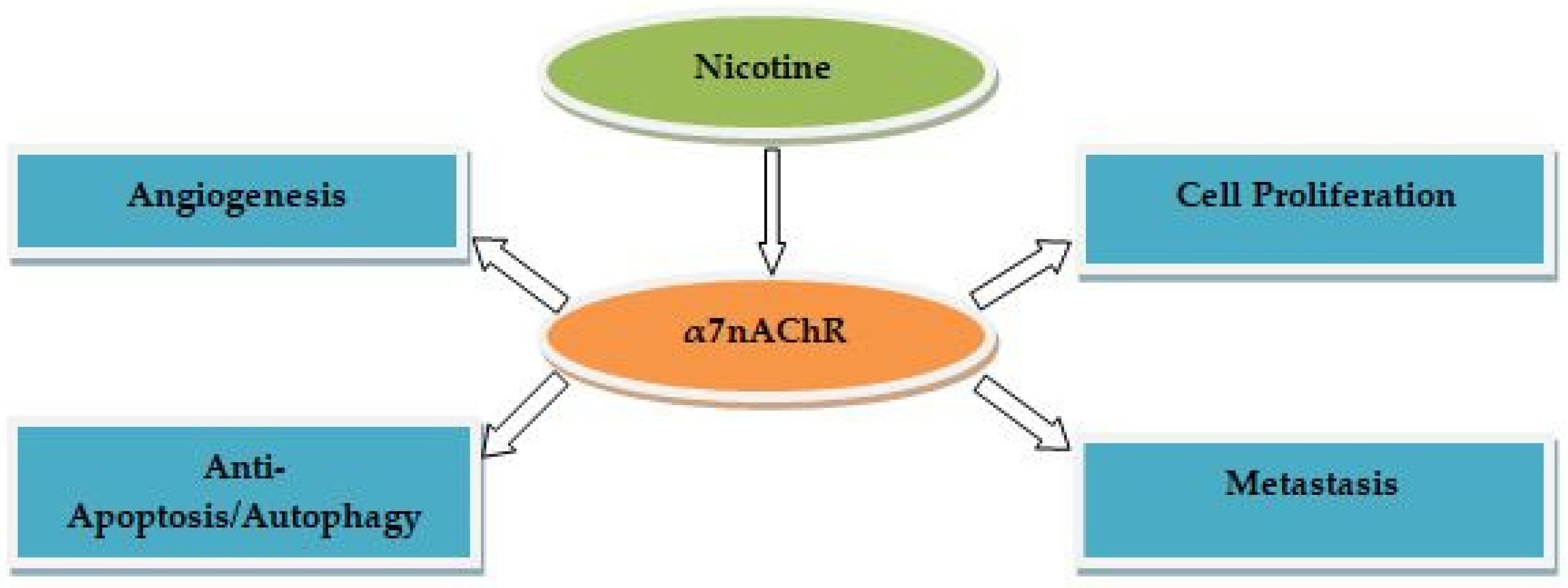 Ijms 23 07905 g001 550