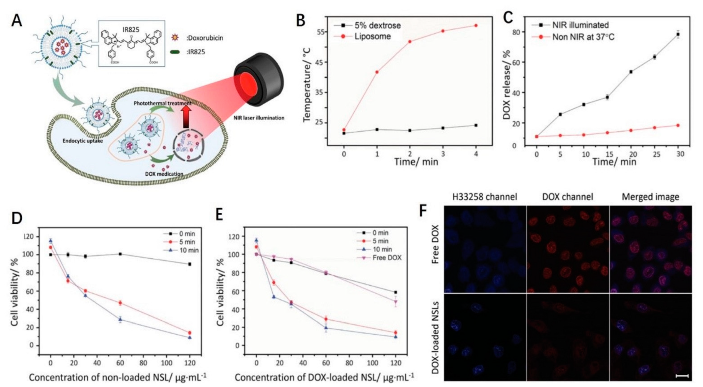 Ijms 23 07909 g005 550