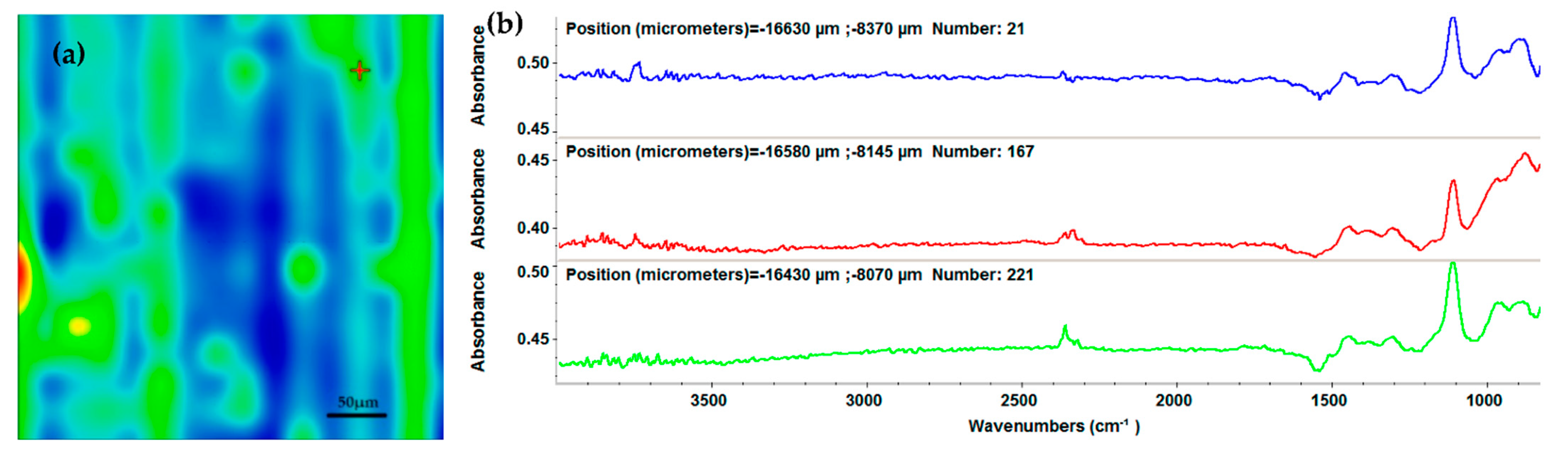 Ijms 23 07910 g003 550