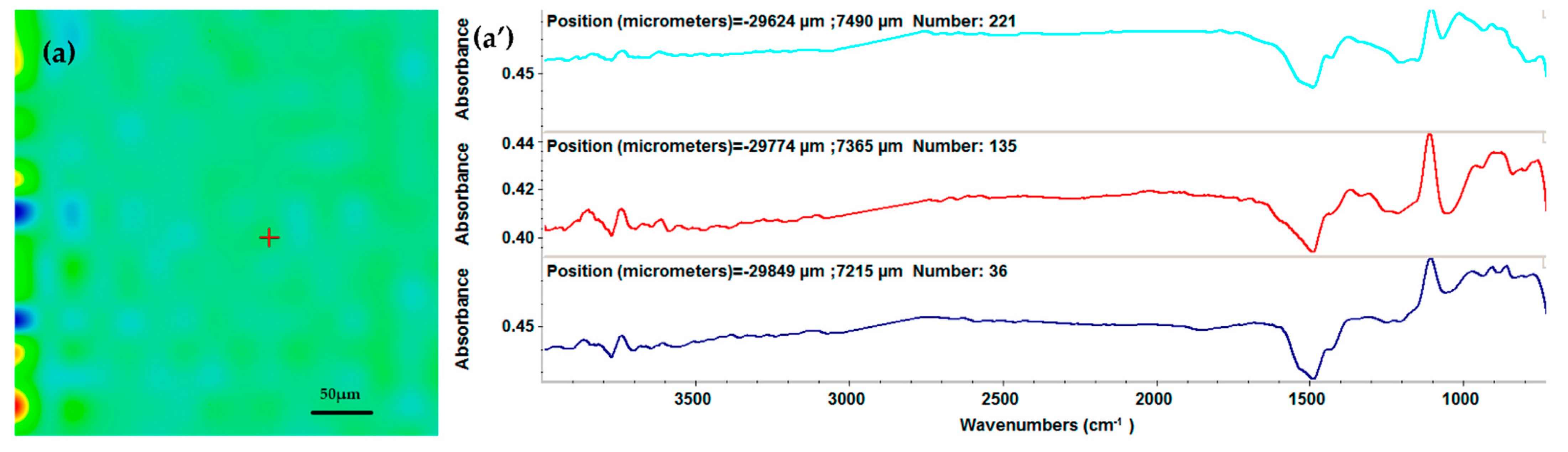 Ijms 23 07910 g004a 550