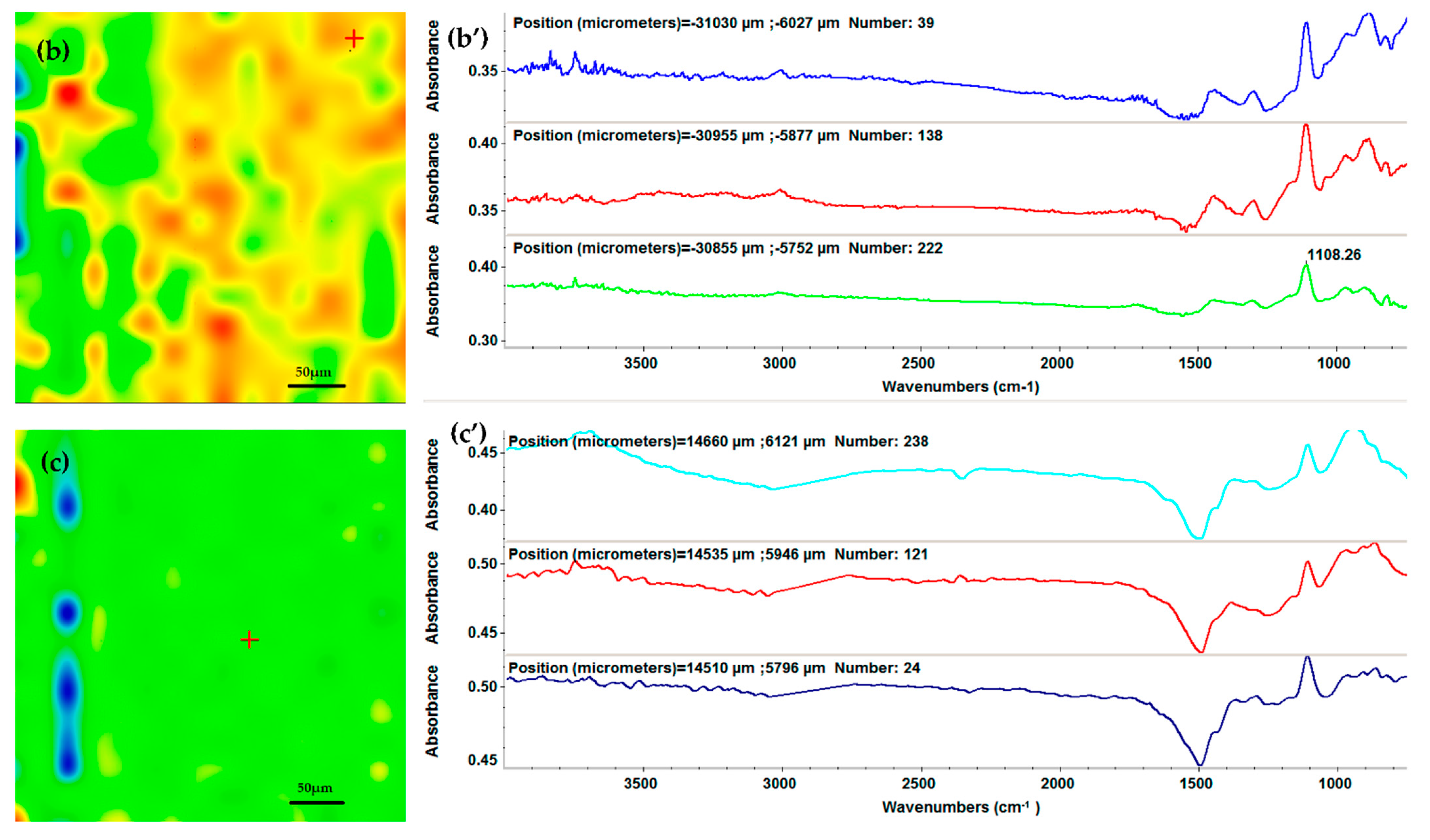 Ijms 23 07910 g004b 550
