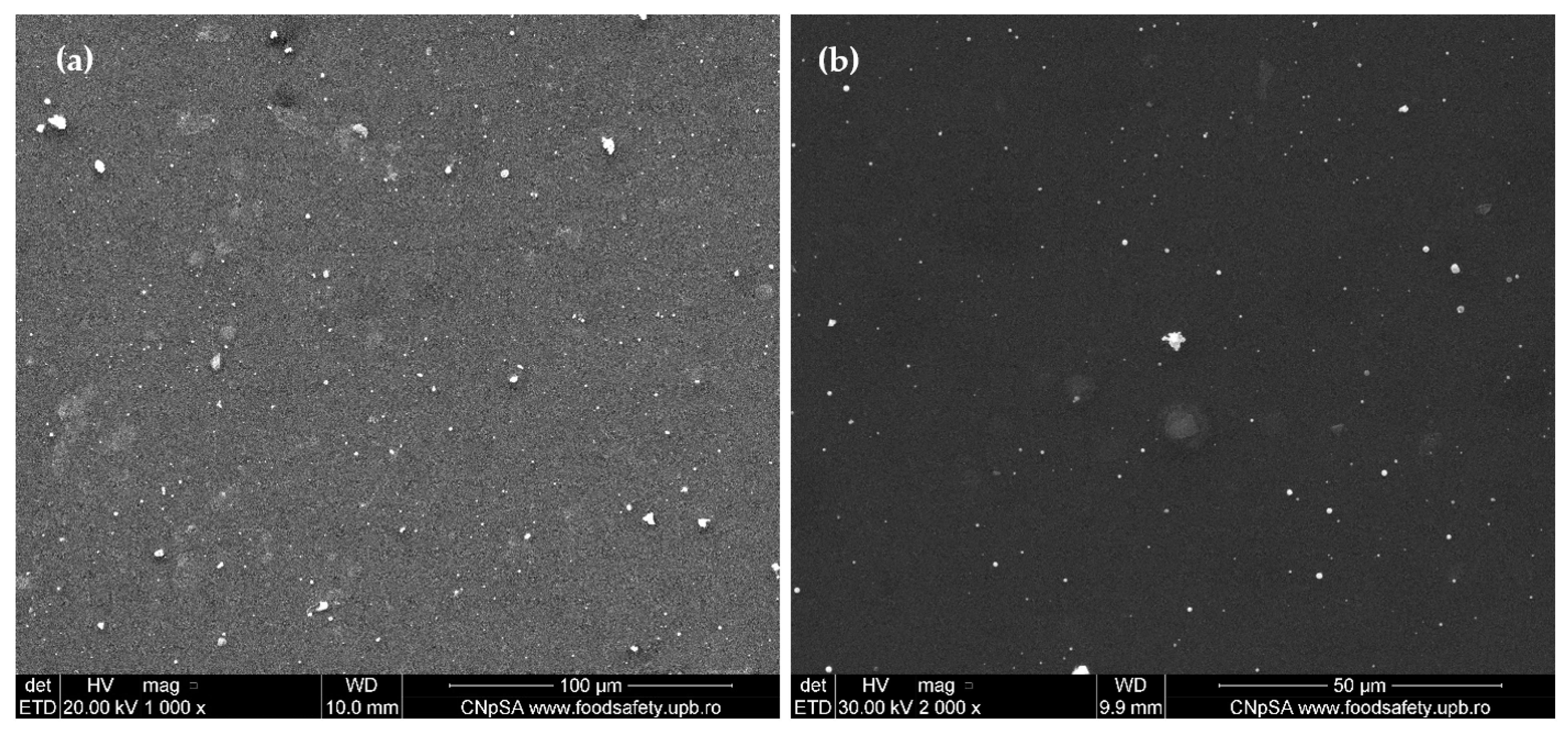 Ijms 23 07910 g005a 550