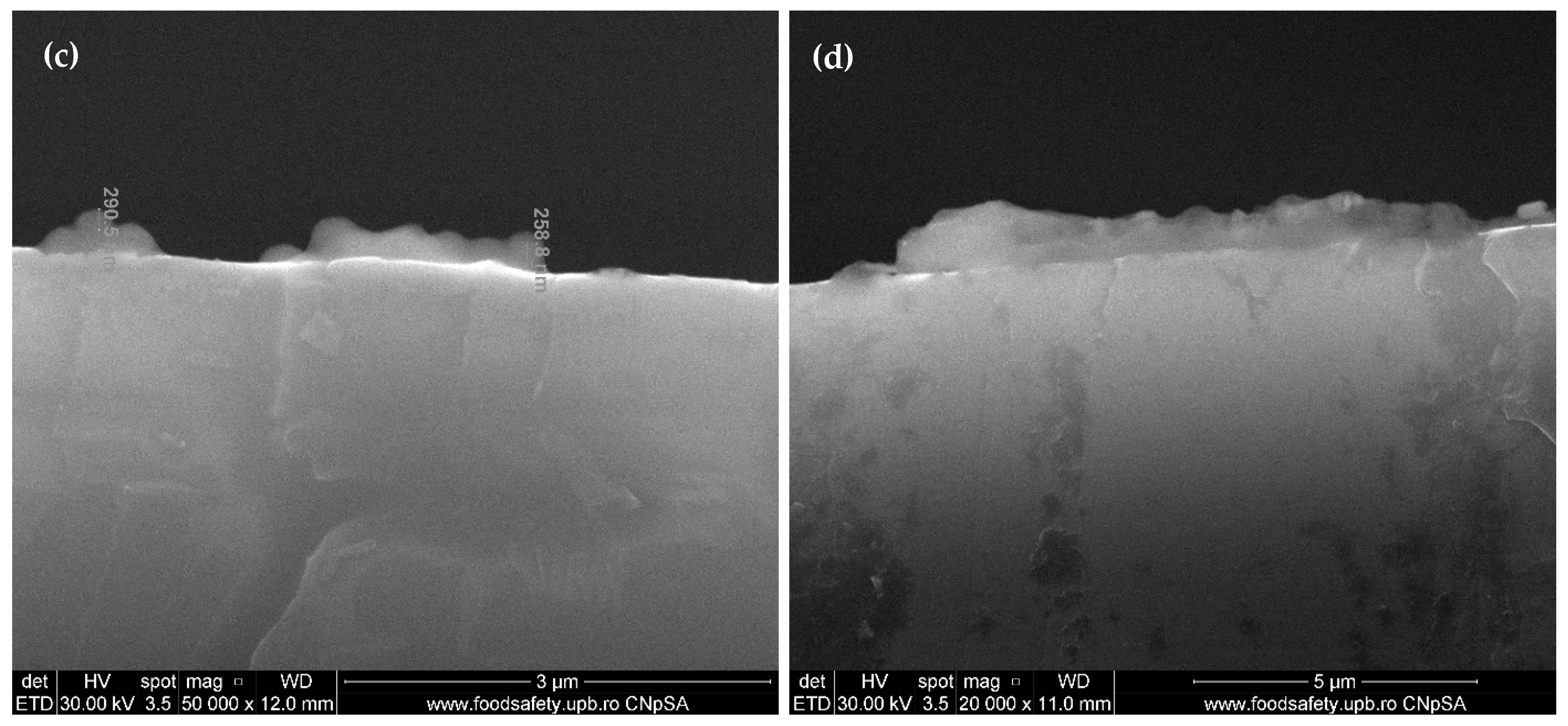 Ijms 23 07910 g005b 550