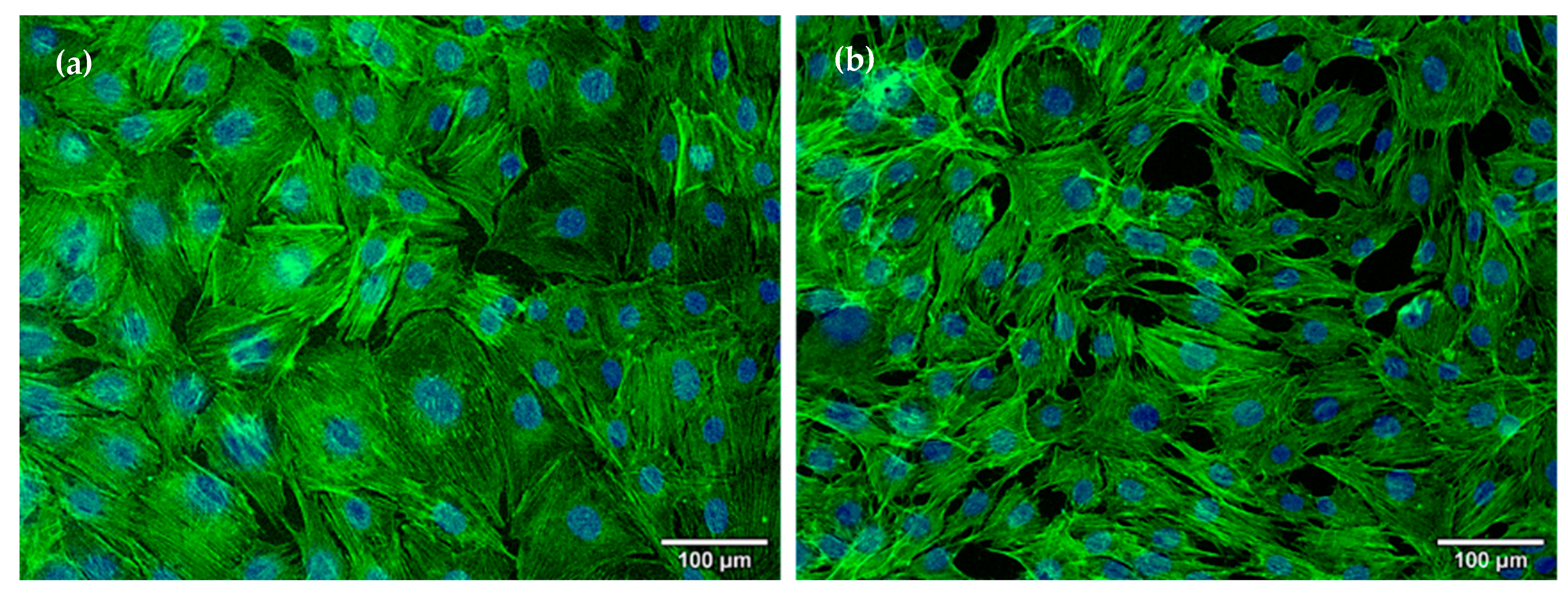 Ijms 23 07910 g006 550