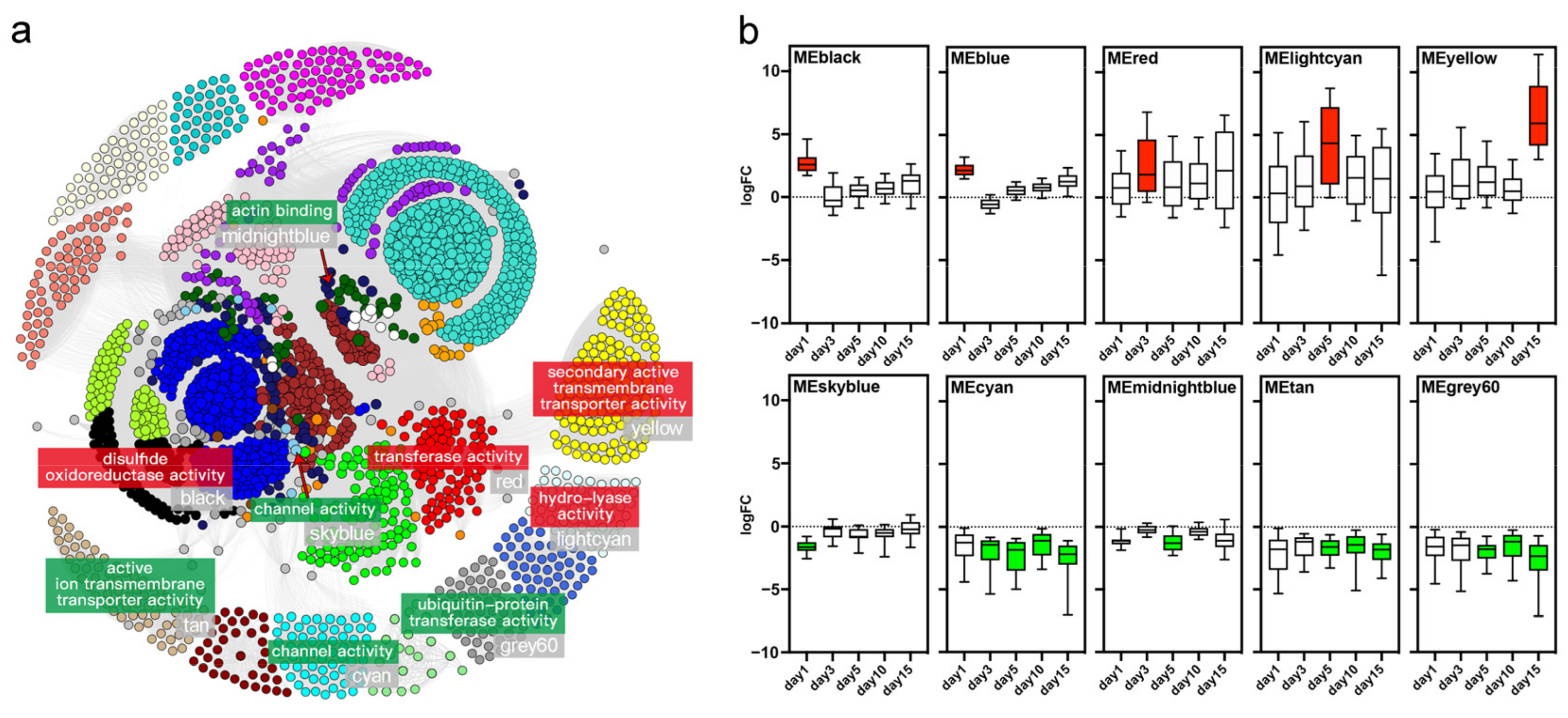 Ijms 23 07912 g002 550