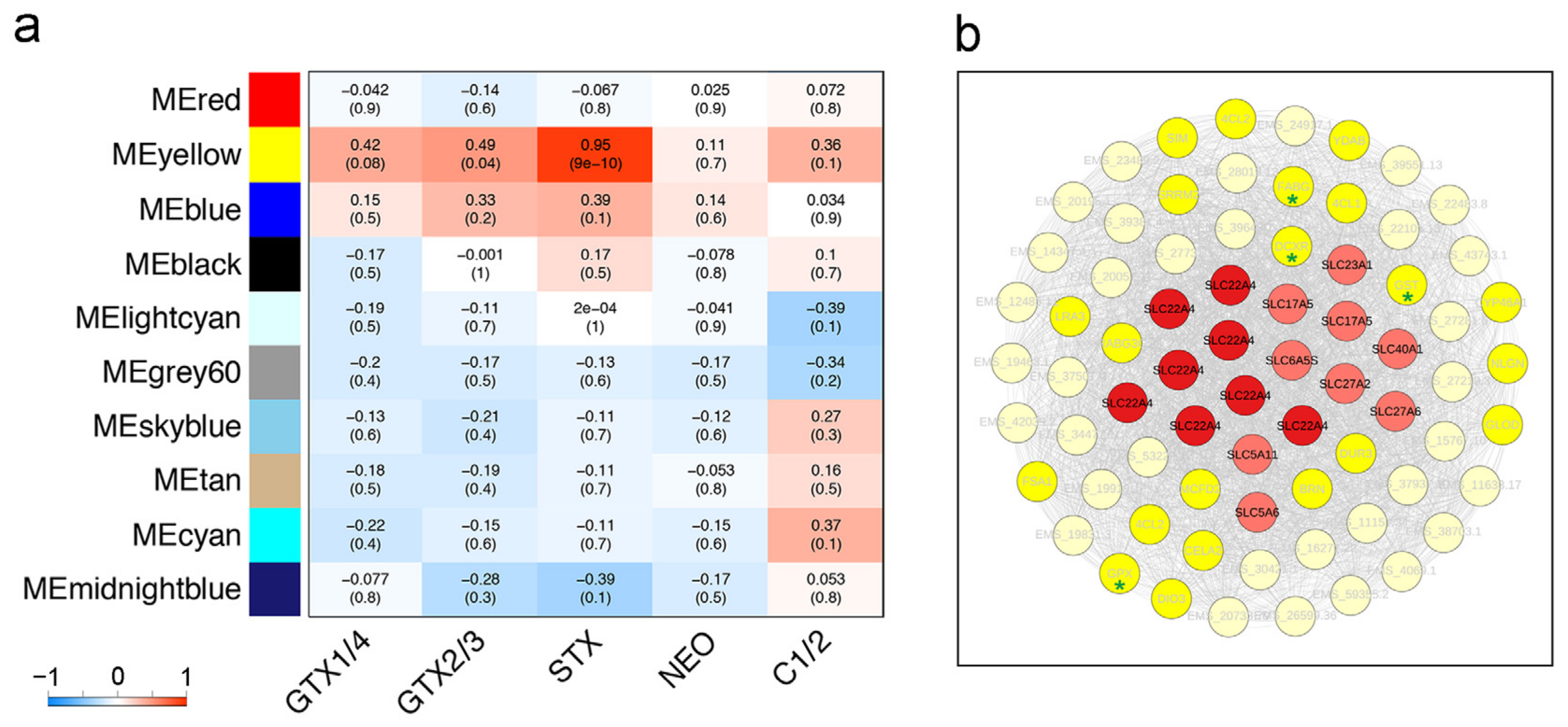 Ijms 23 07912 g003 550
