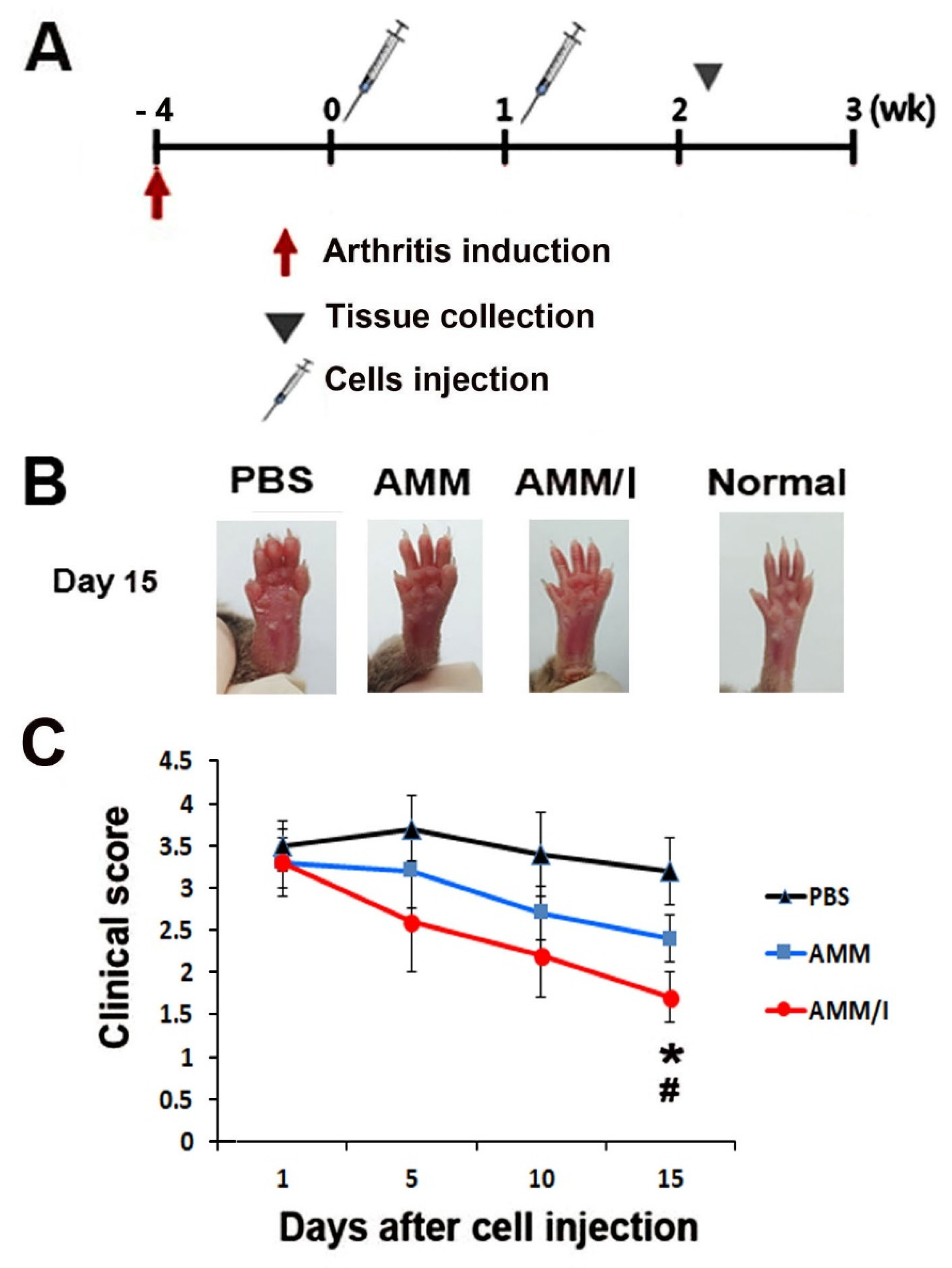 Ijms 23 07913 g002 550