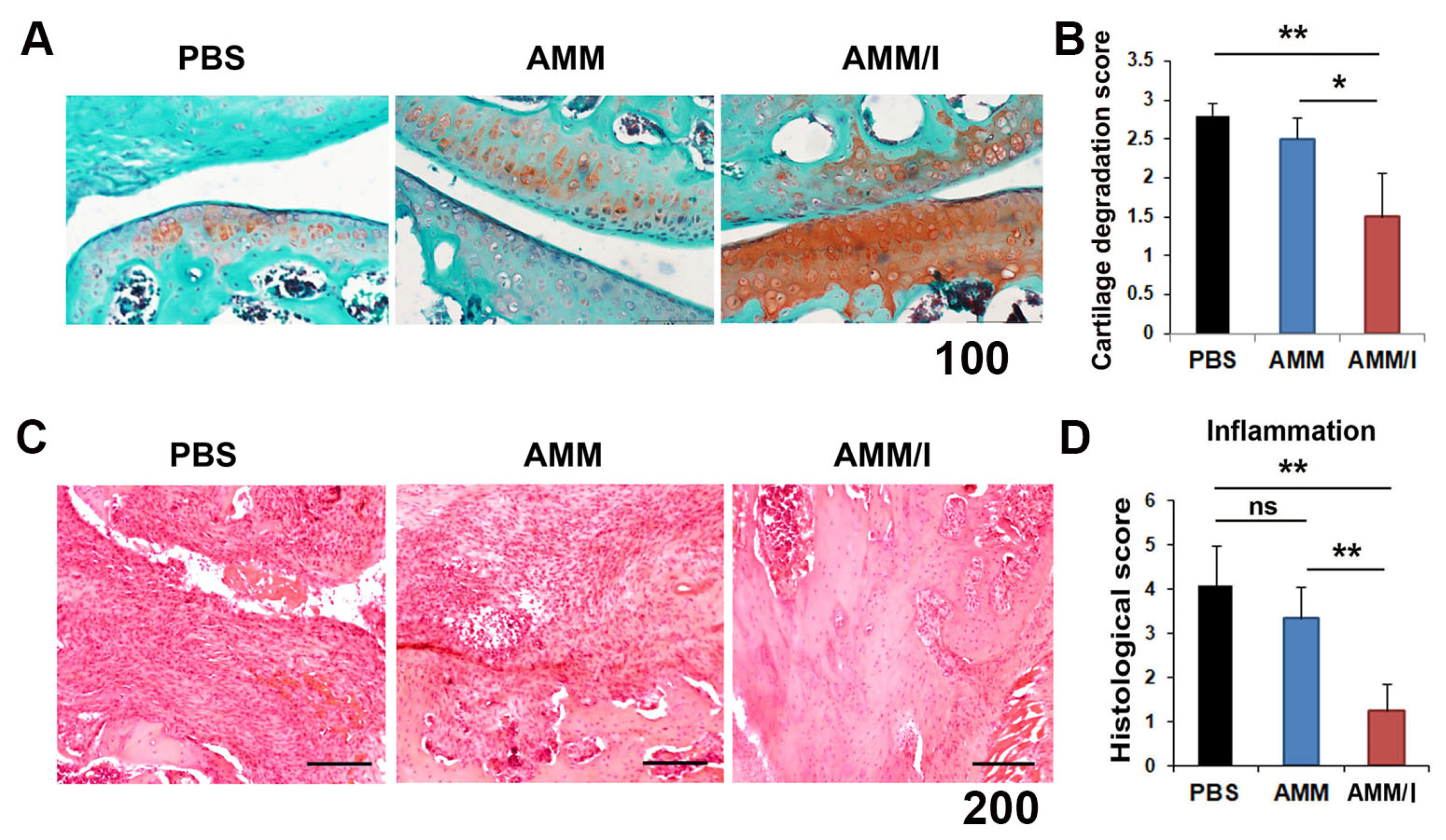 Ijms 23 07913 g004 550