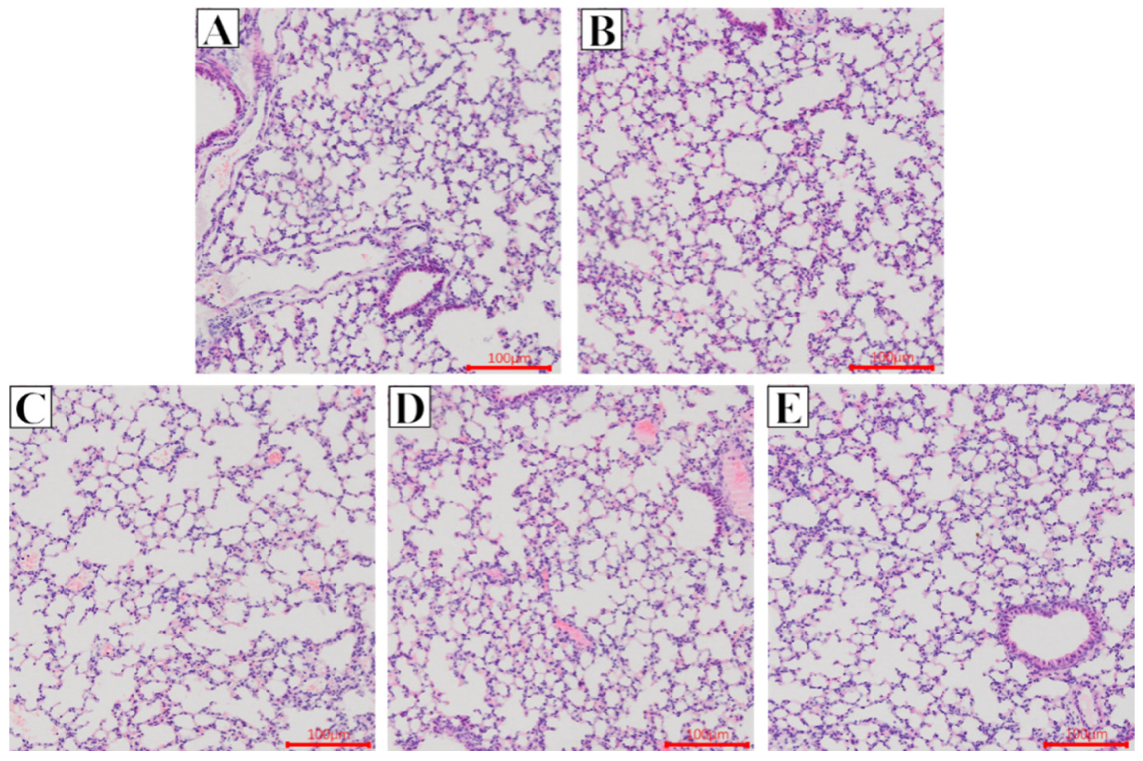 Ijms 23 07914 g001 550