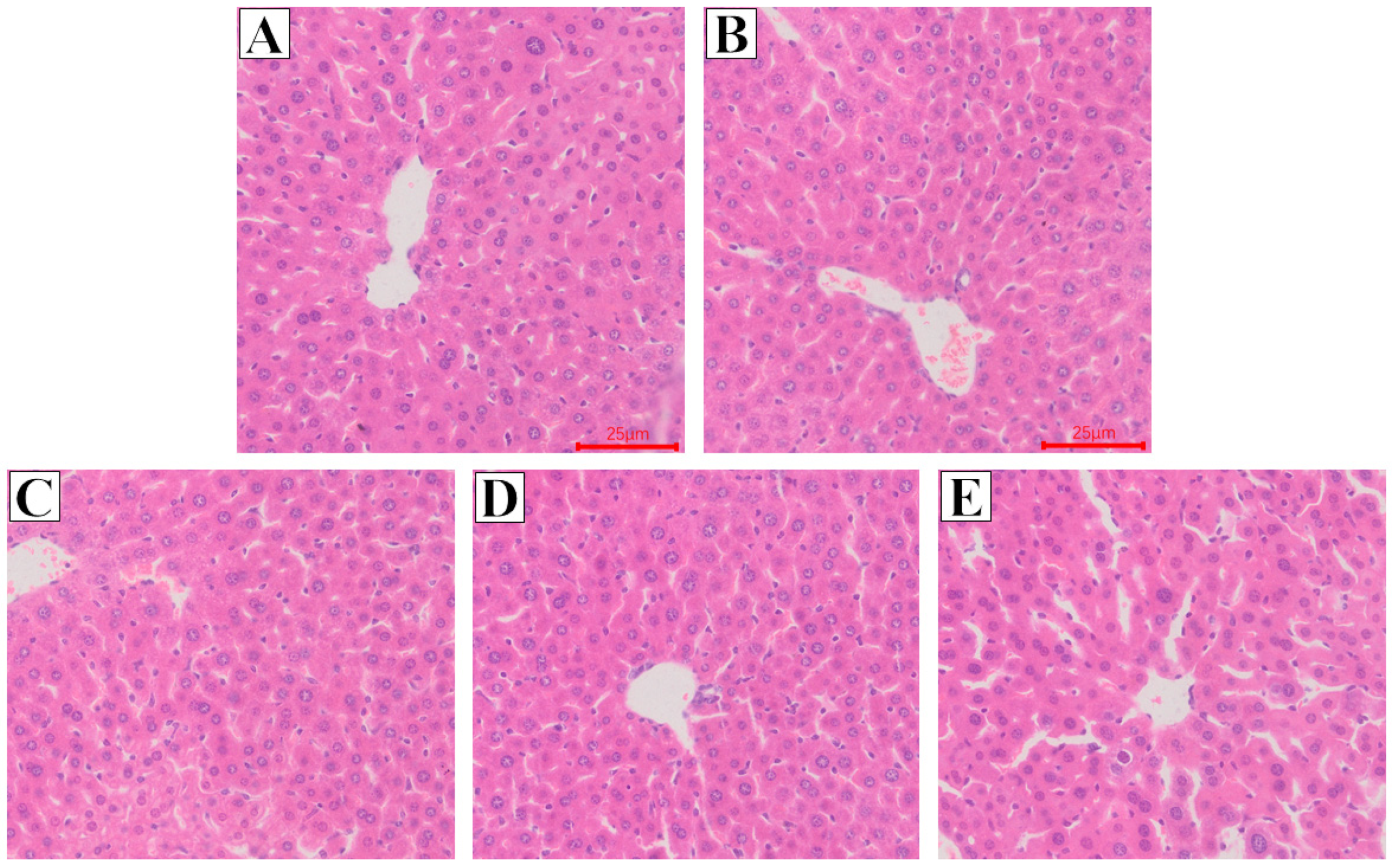 Ijms 23 07914 g002 550