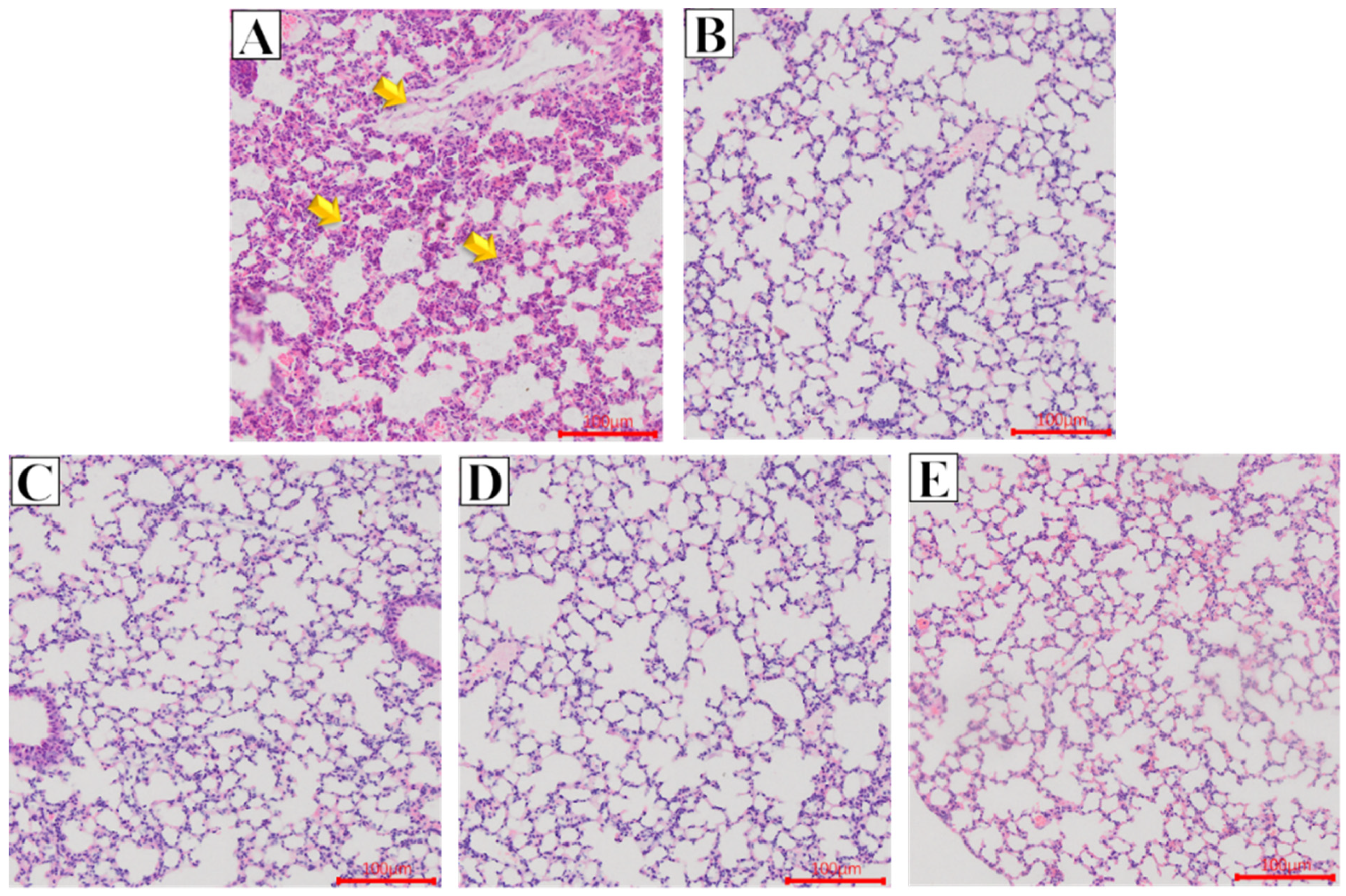 Ijms 23 07914 g006 550