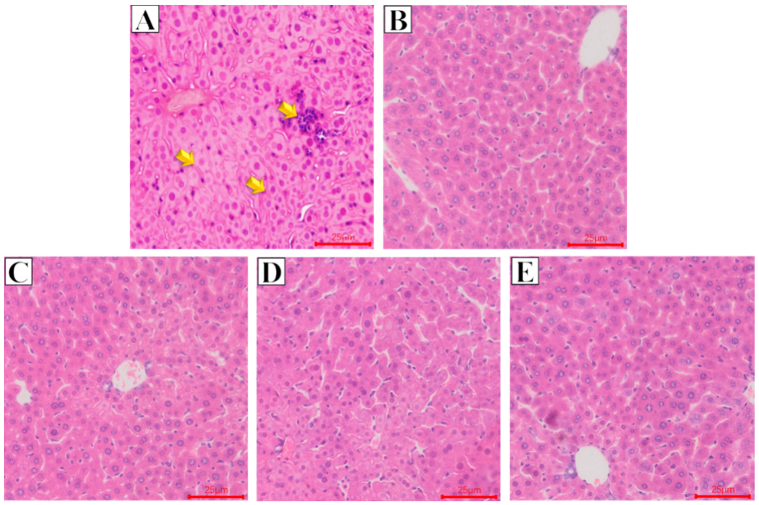 Ijms 23 07914 g007 550