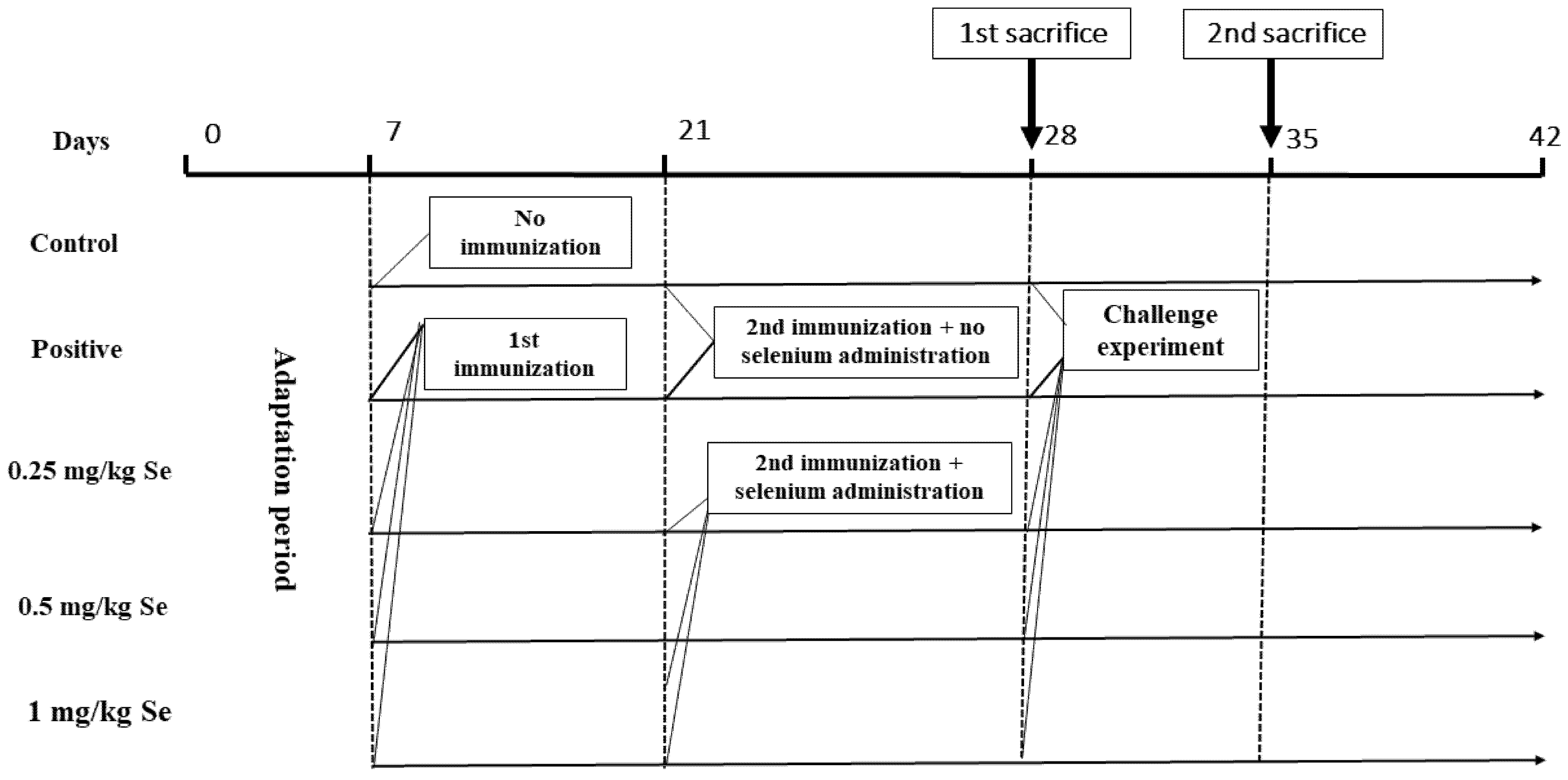 Ijms 23 07914 g011 550