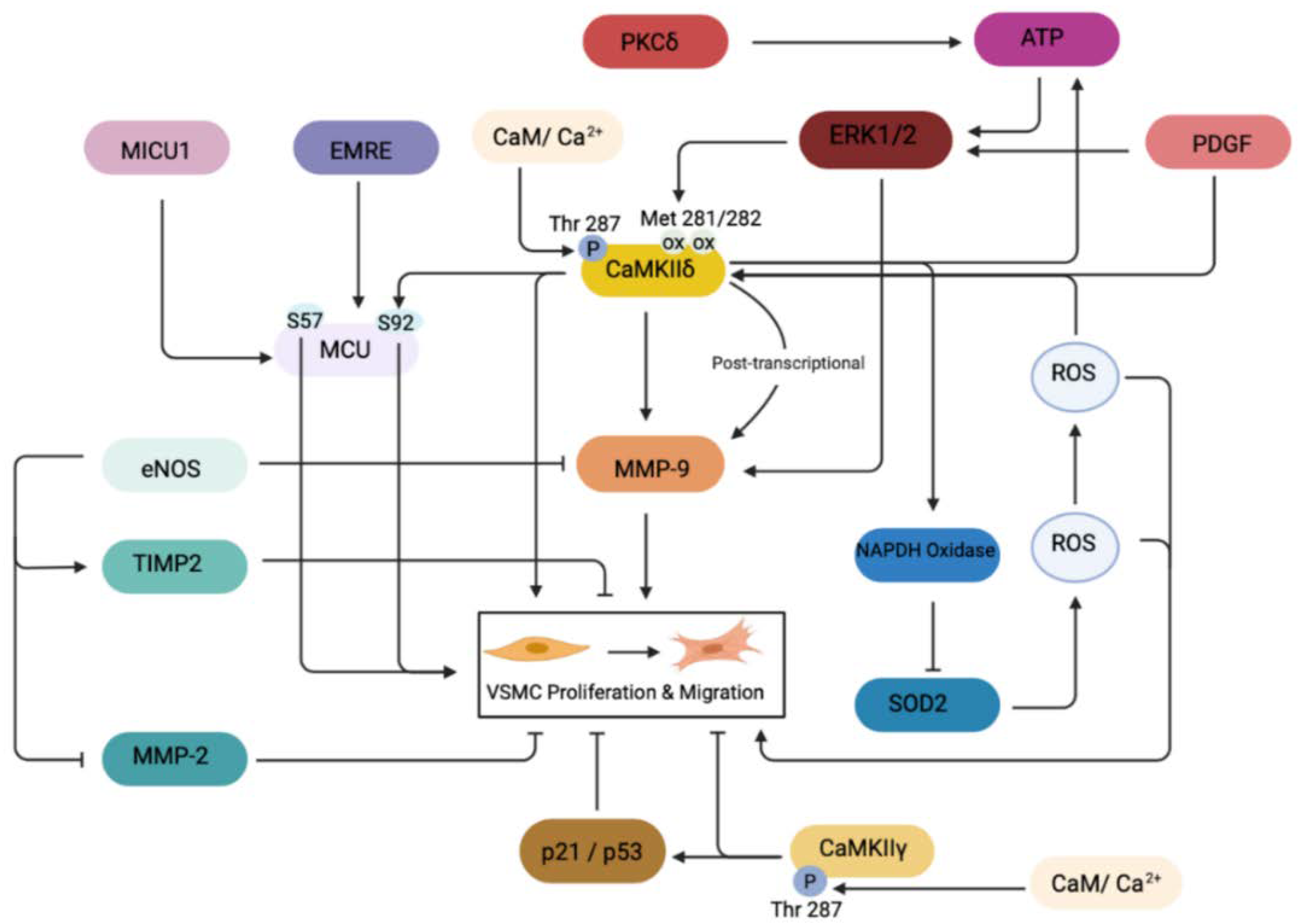 Ijms 23 07916 g001 Ijms 23 07916 g001