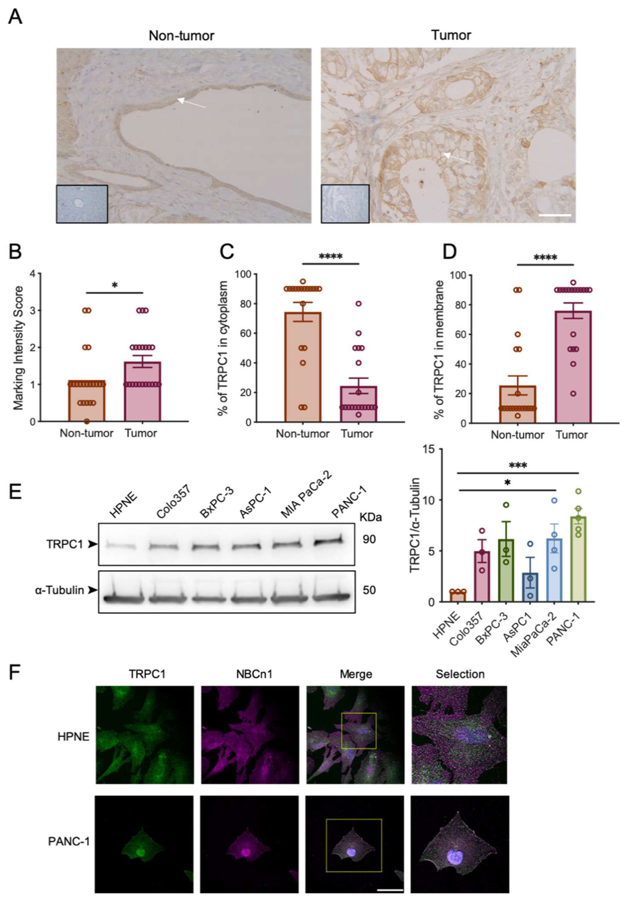 Ijms 23 07923 g002 Ijms 23 07923 g002