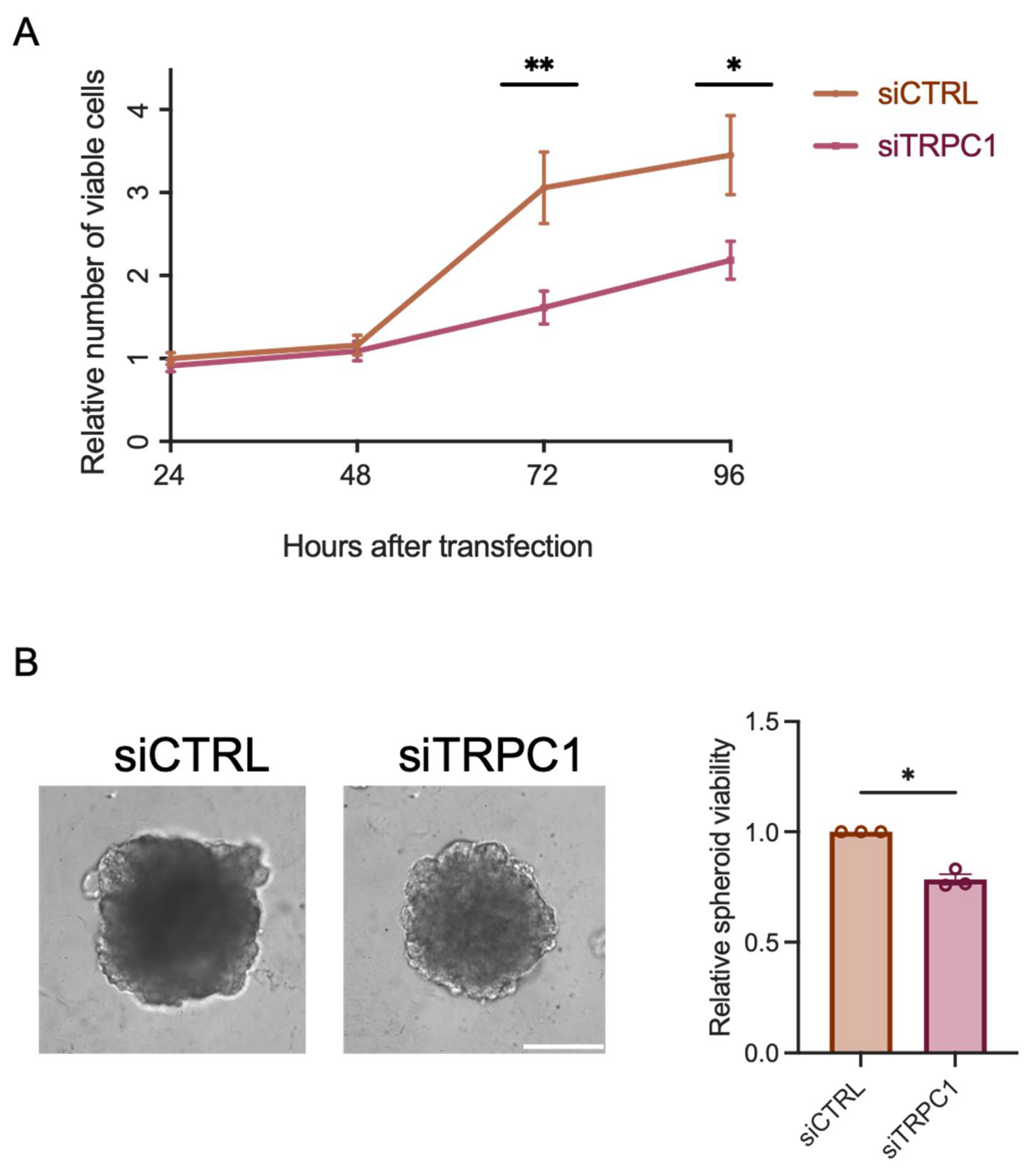 Ijms 23 07923 g003 Ijms 23 07923 g003