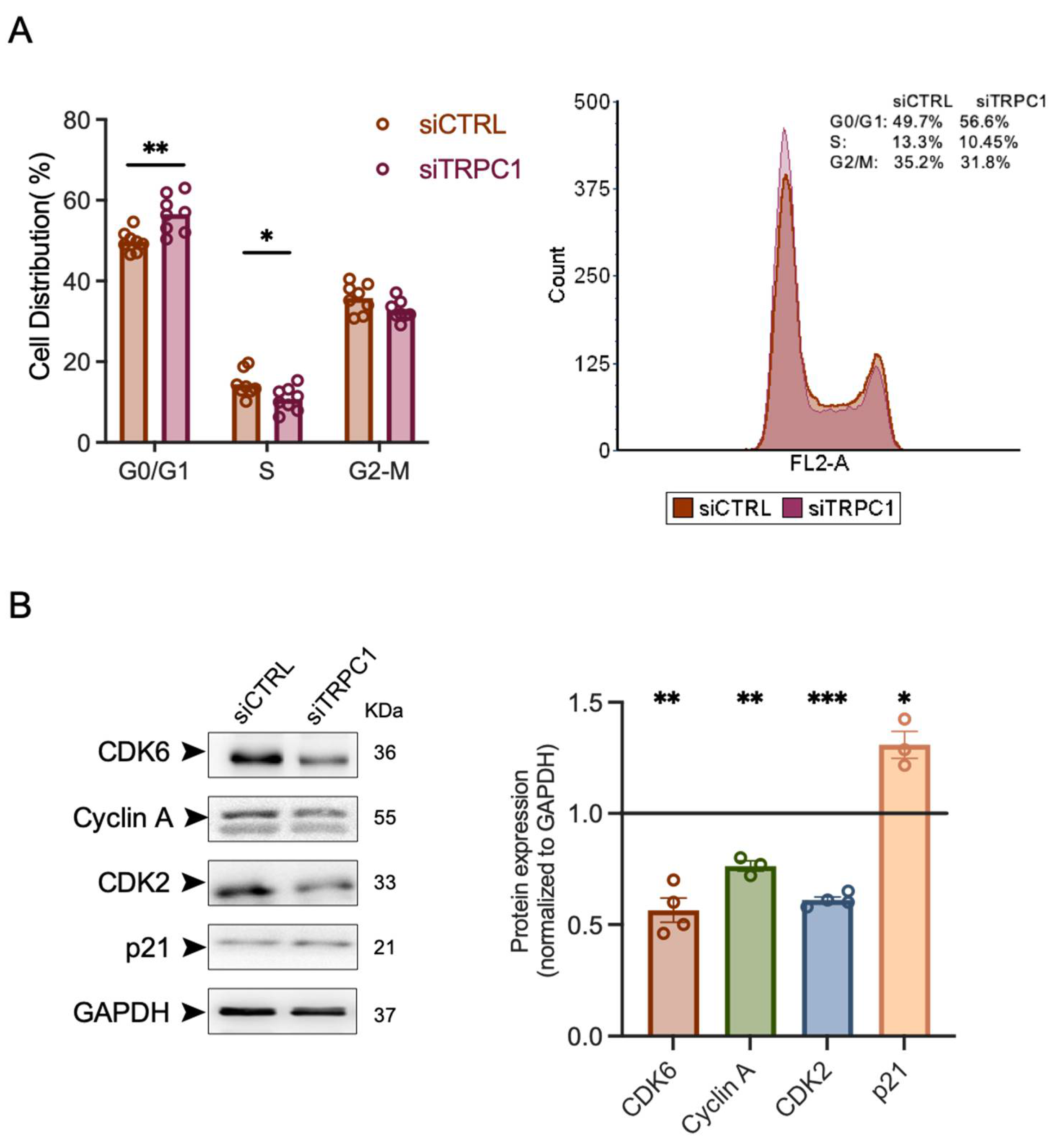 Ijms 23 07923 g004 Ijms 23 07923 g004