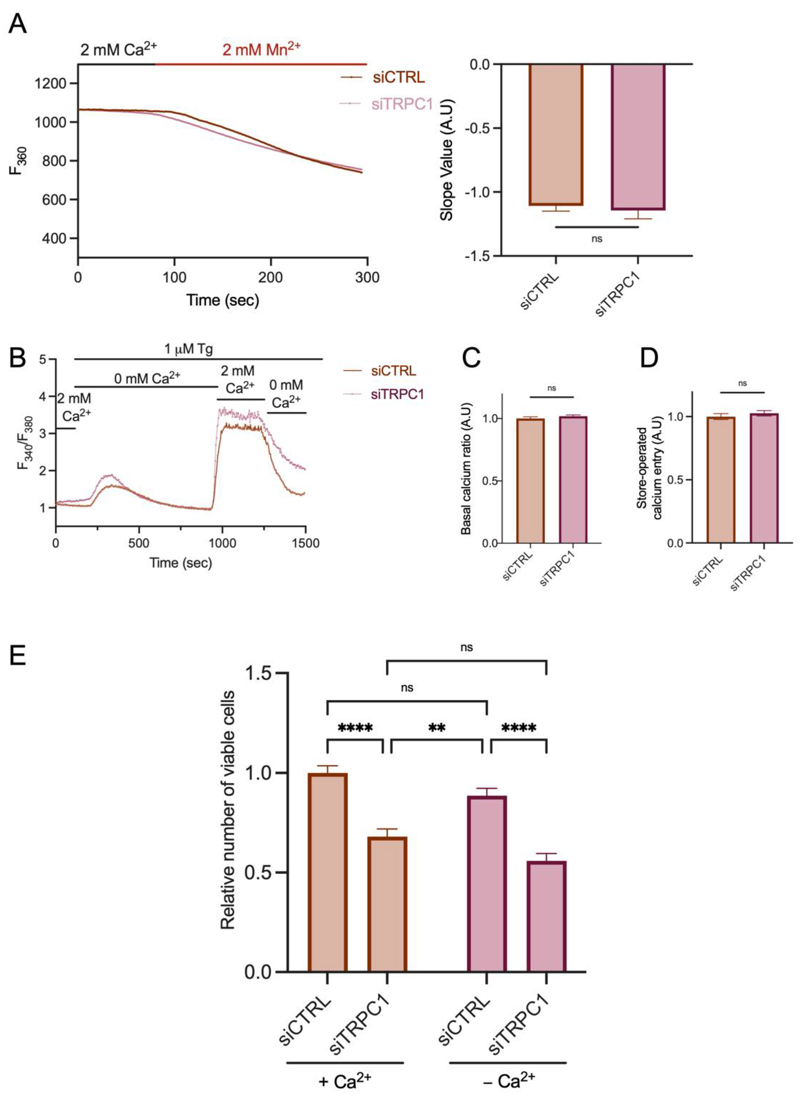 Ijms 23 07923 g005 Ijms 23 07923 g005