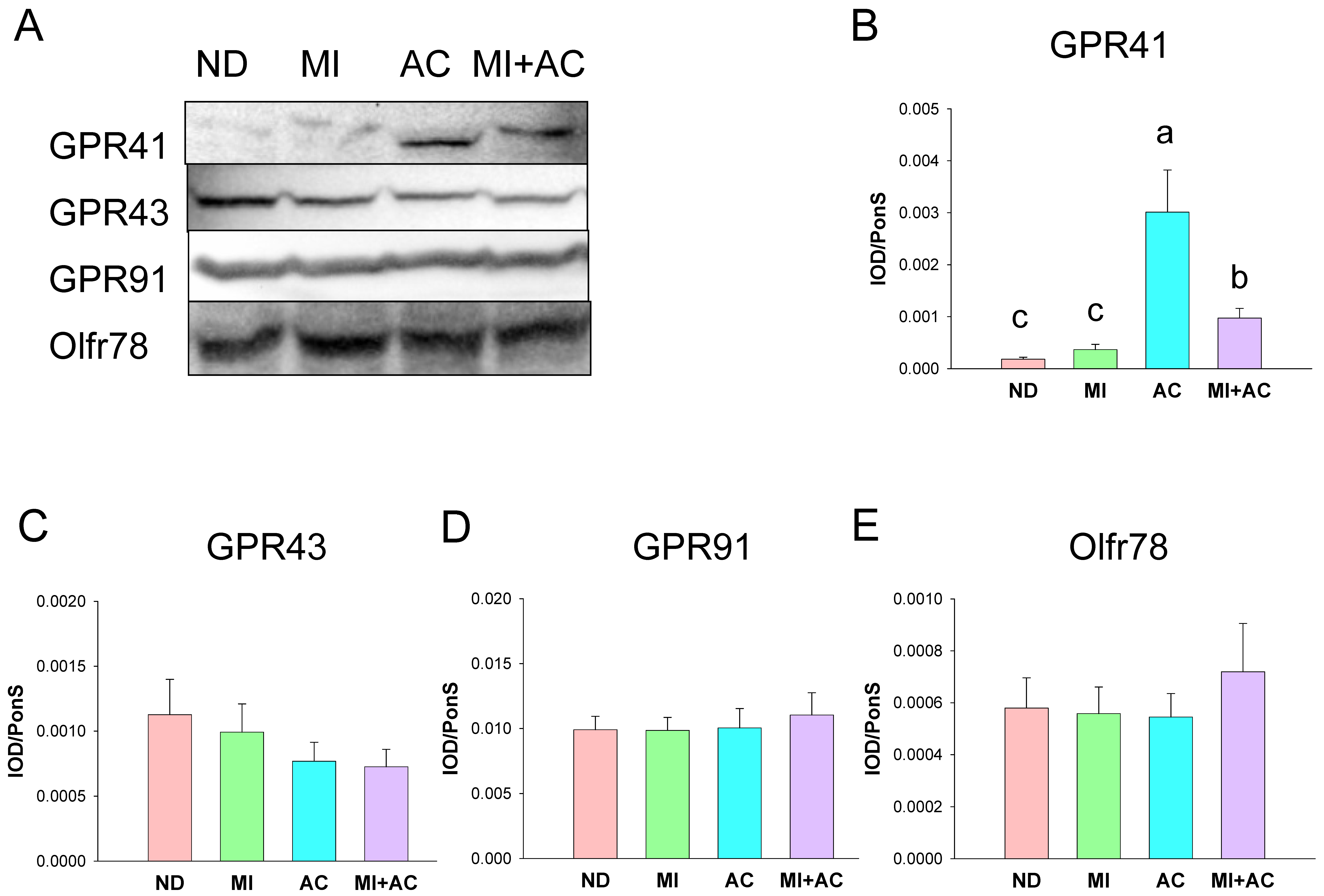 Ijms 23 07924 g002 550